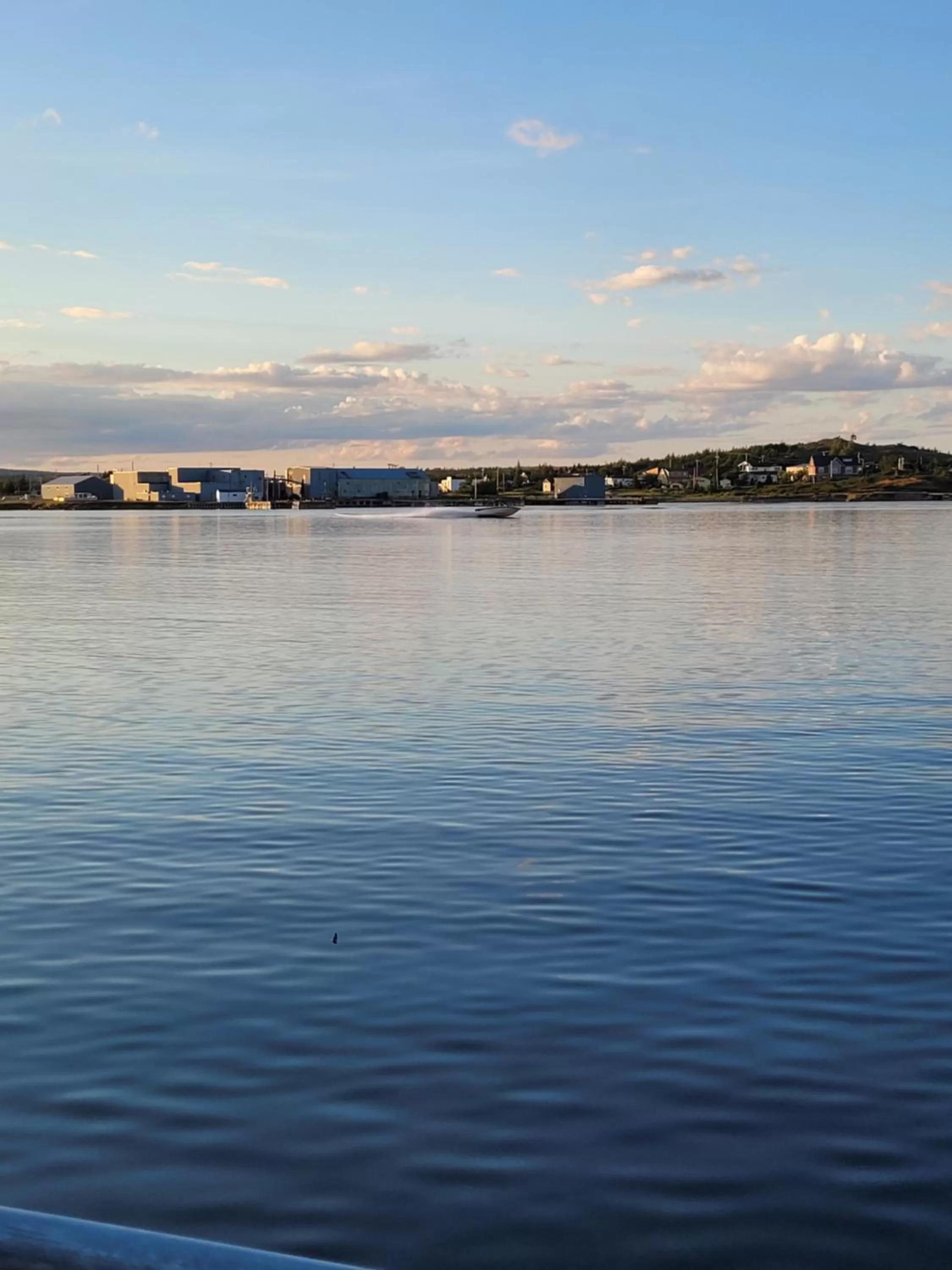 View (from property/room) in The Harbourside Inn