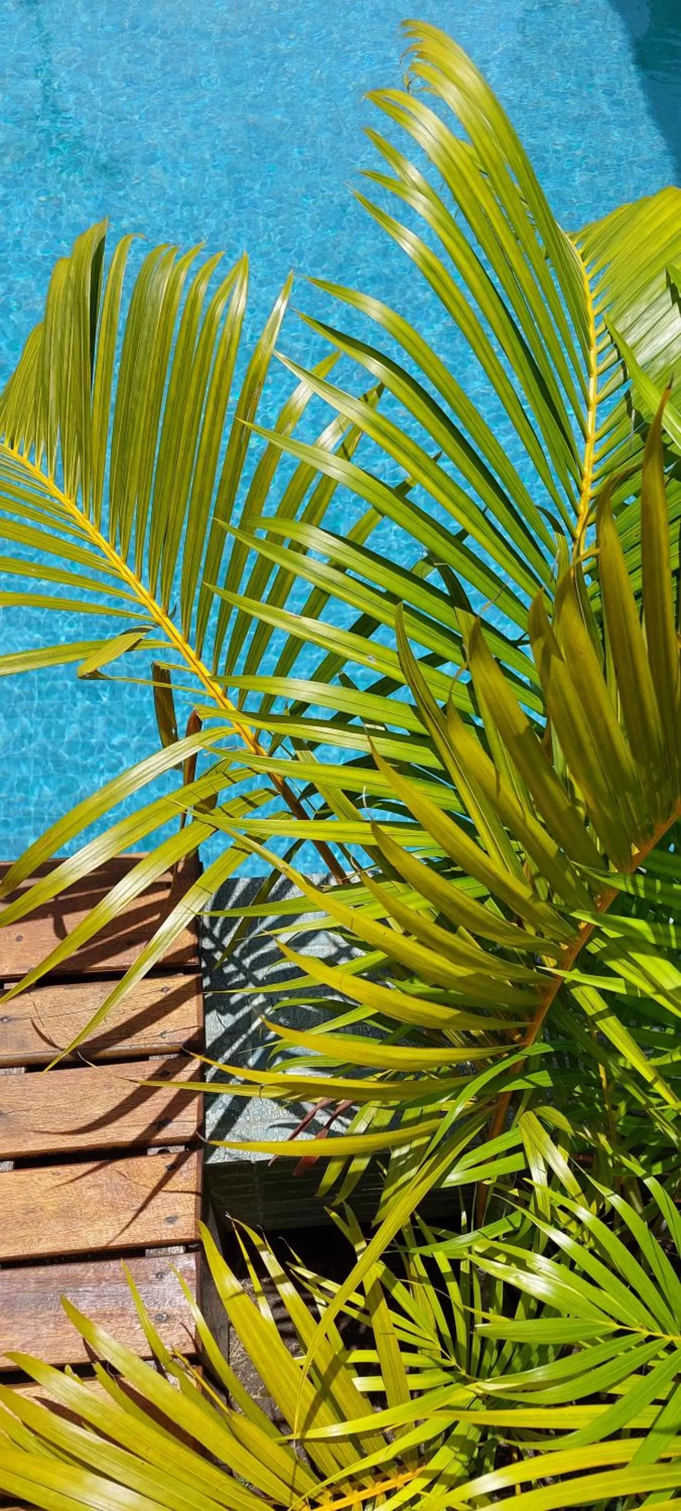 Day in Arataba Hotel Boutique e Bistrô - 150 mts do mar