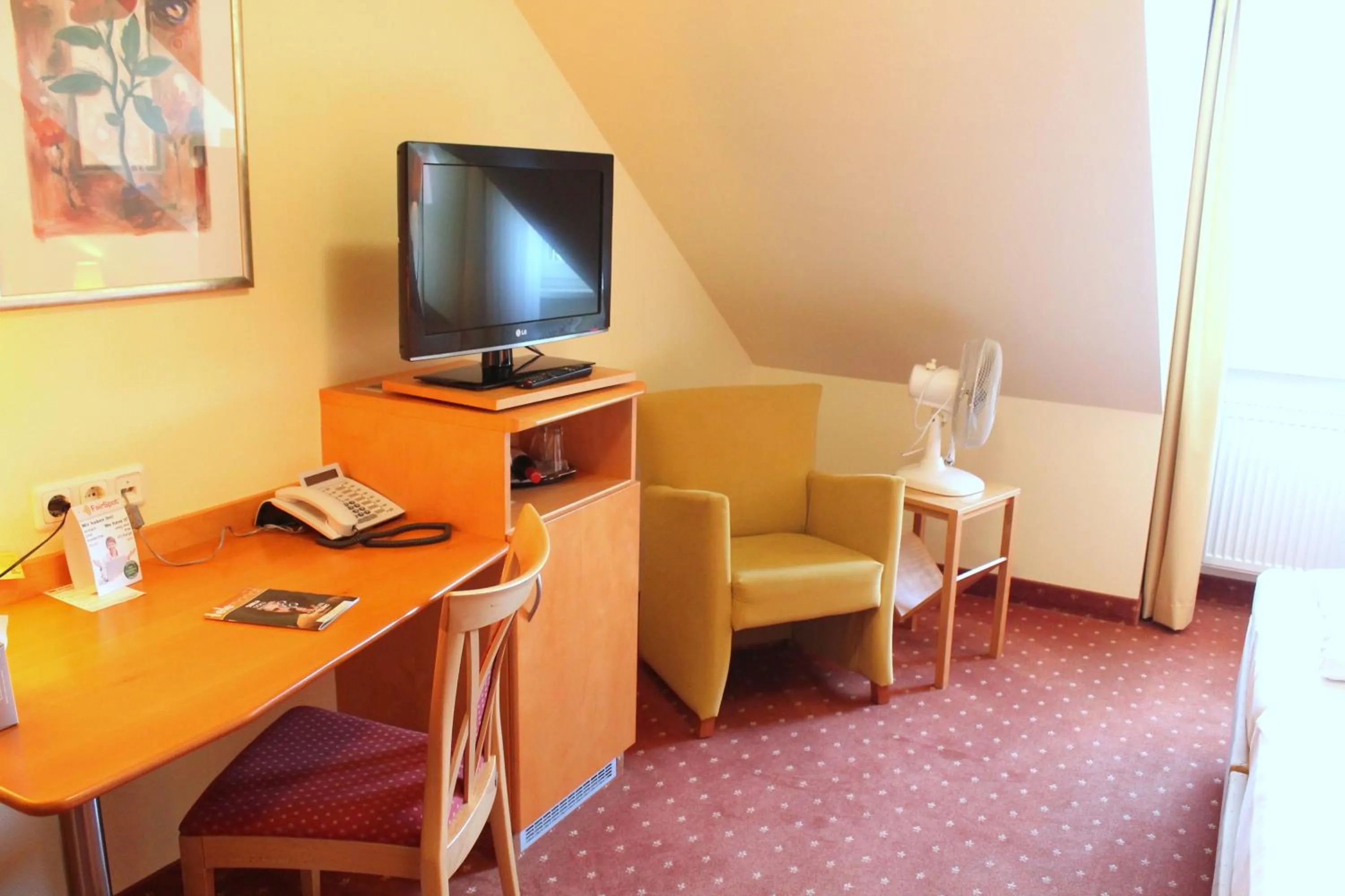 TV and multimedia in Hotel und Restaurant Eurohof