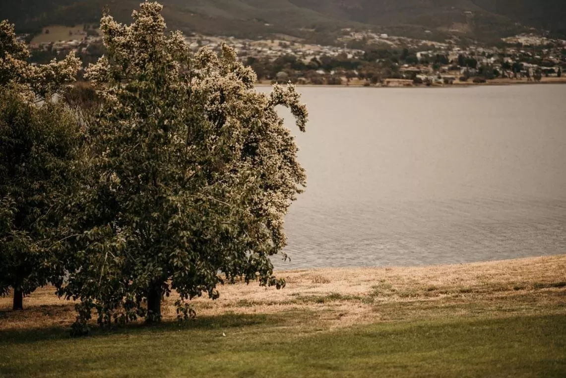 Otago Bungalow in Otago Cottage