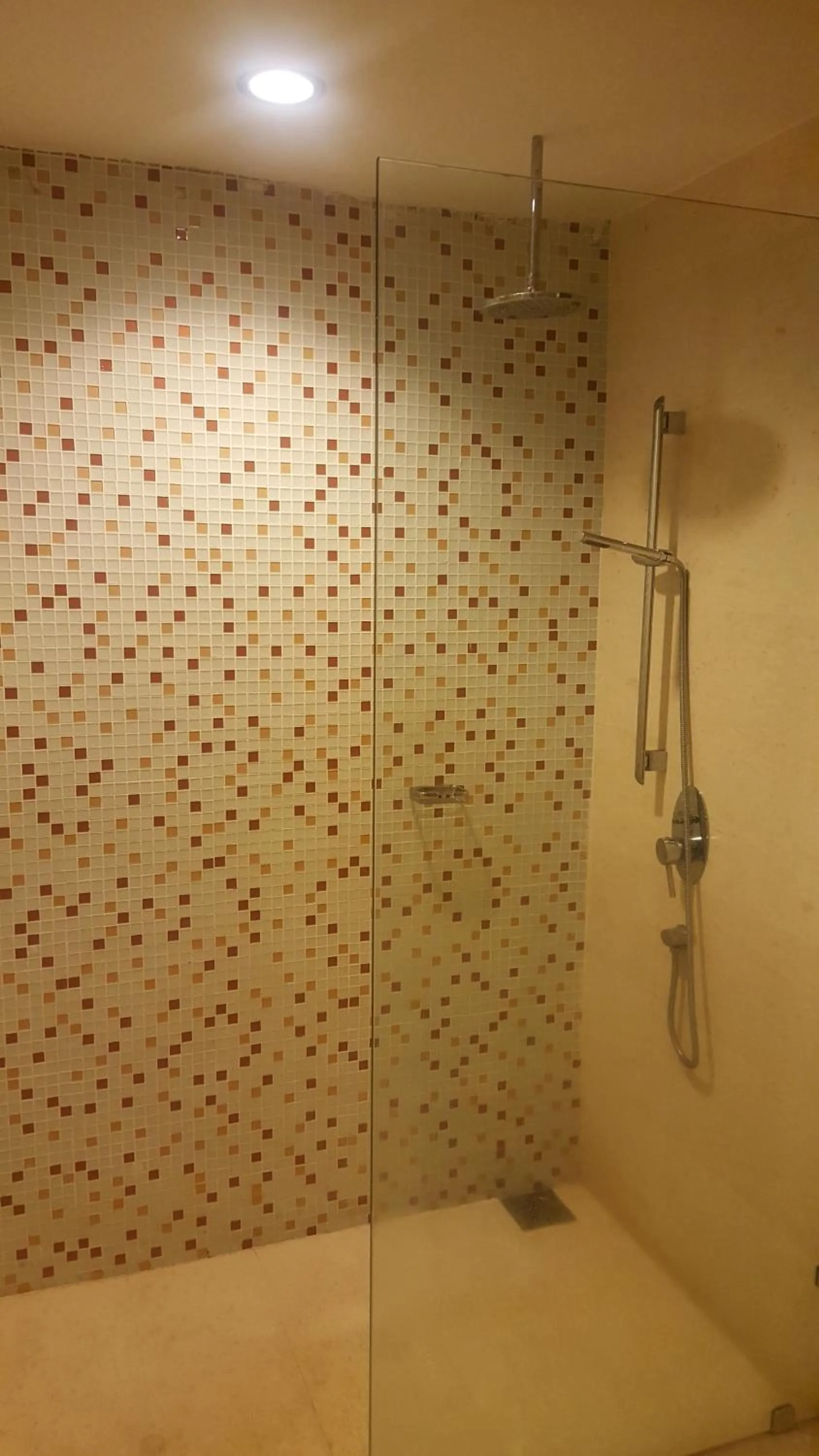 Shower in Regalia Upper View Hotel