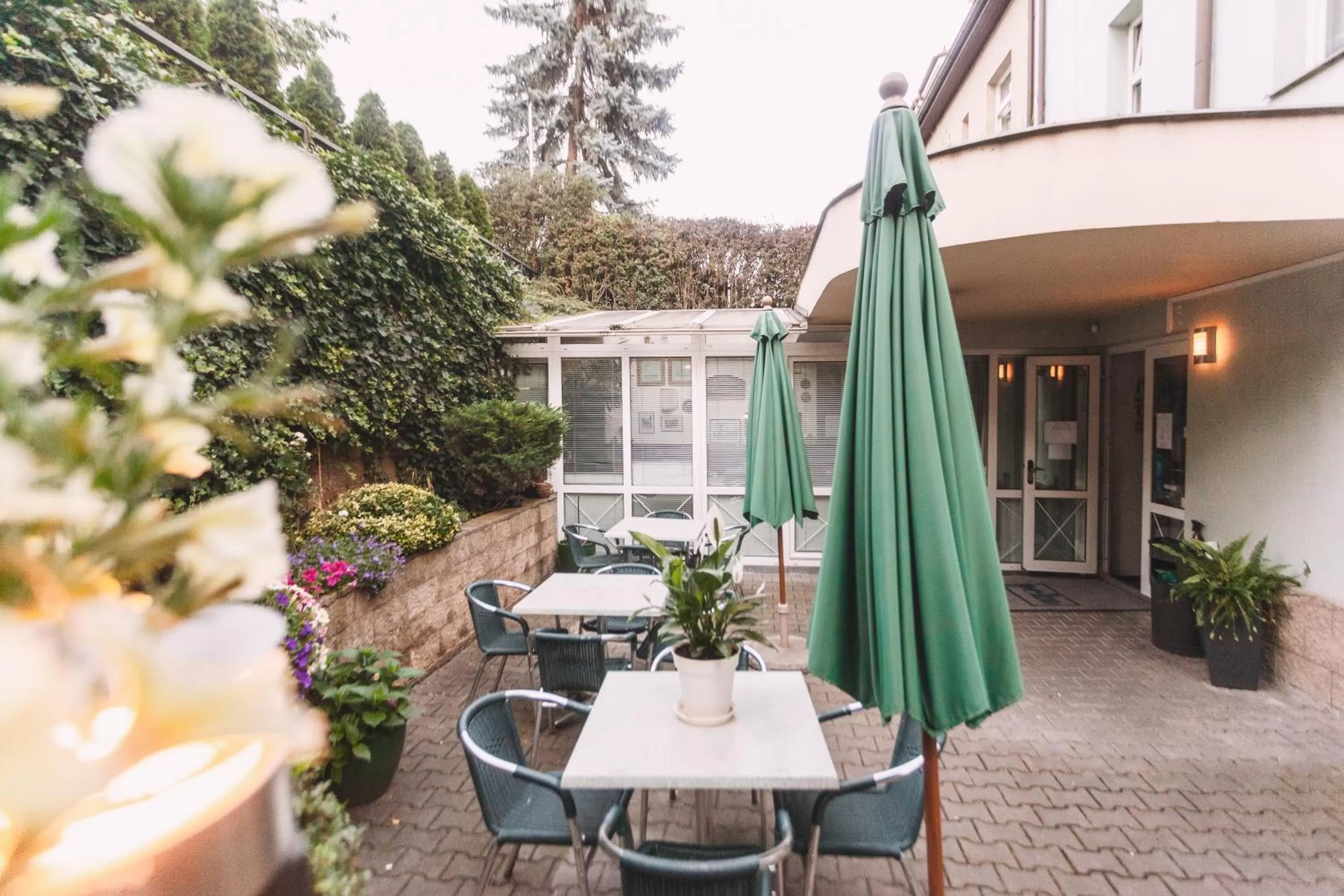 Garden in Hotel Peko