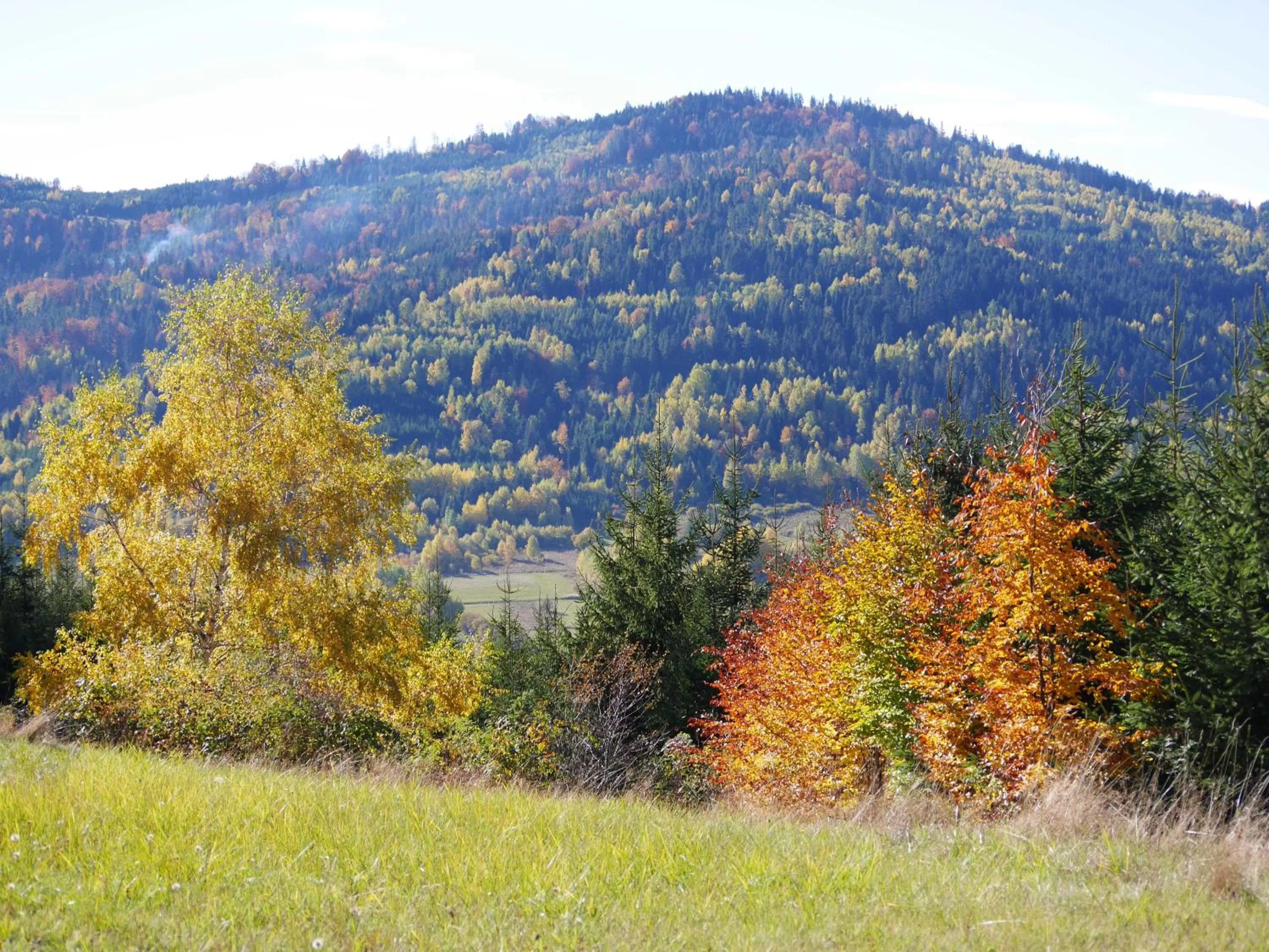 Autumn in Hotel Żywiecki Medical SPA & Sport Żywiec