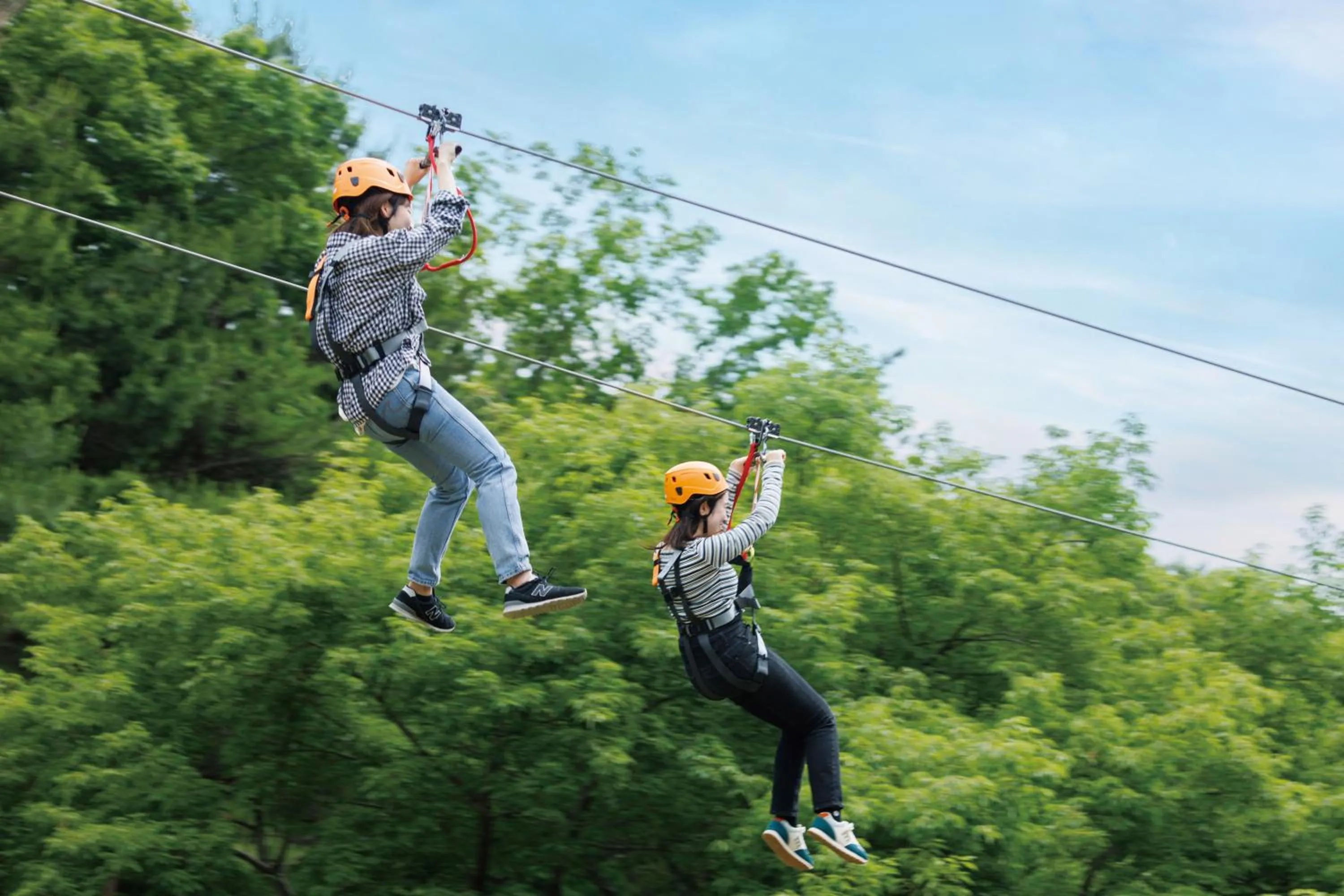 Activities in Hotel Laforet Shuzenji