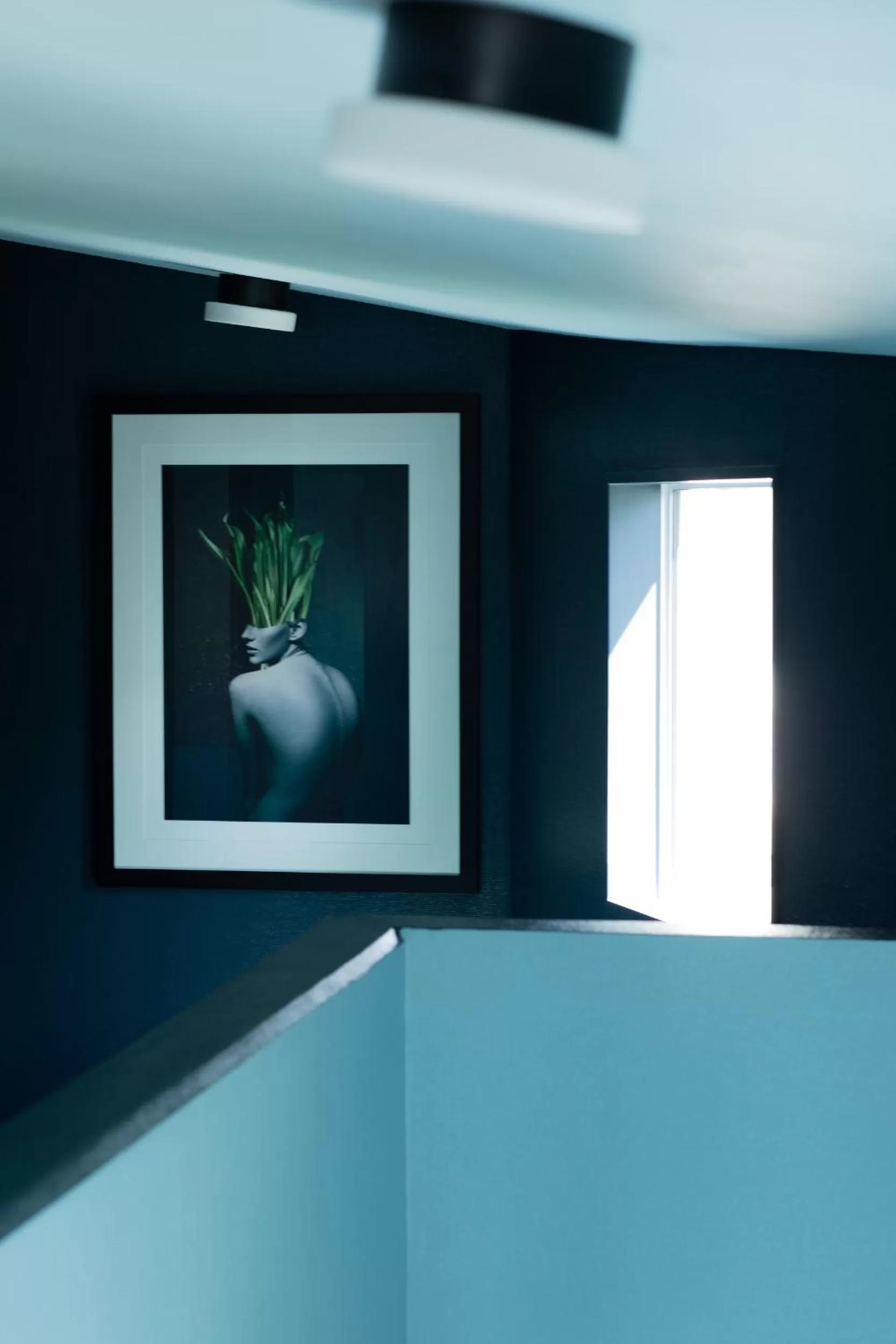 Other in The Central Hotel Queenstown, A Naumi Chapter