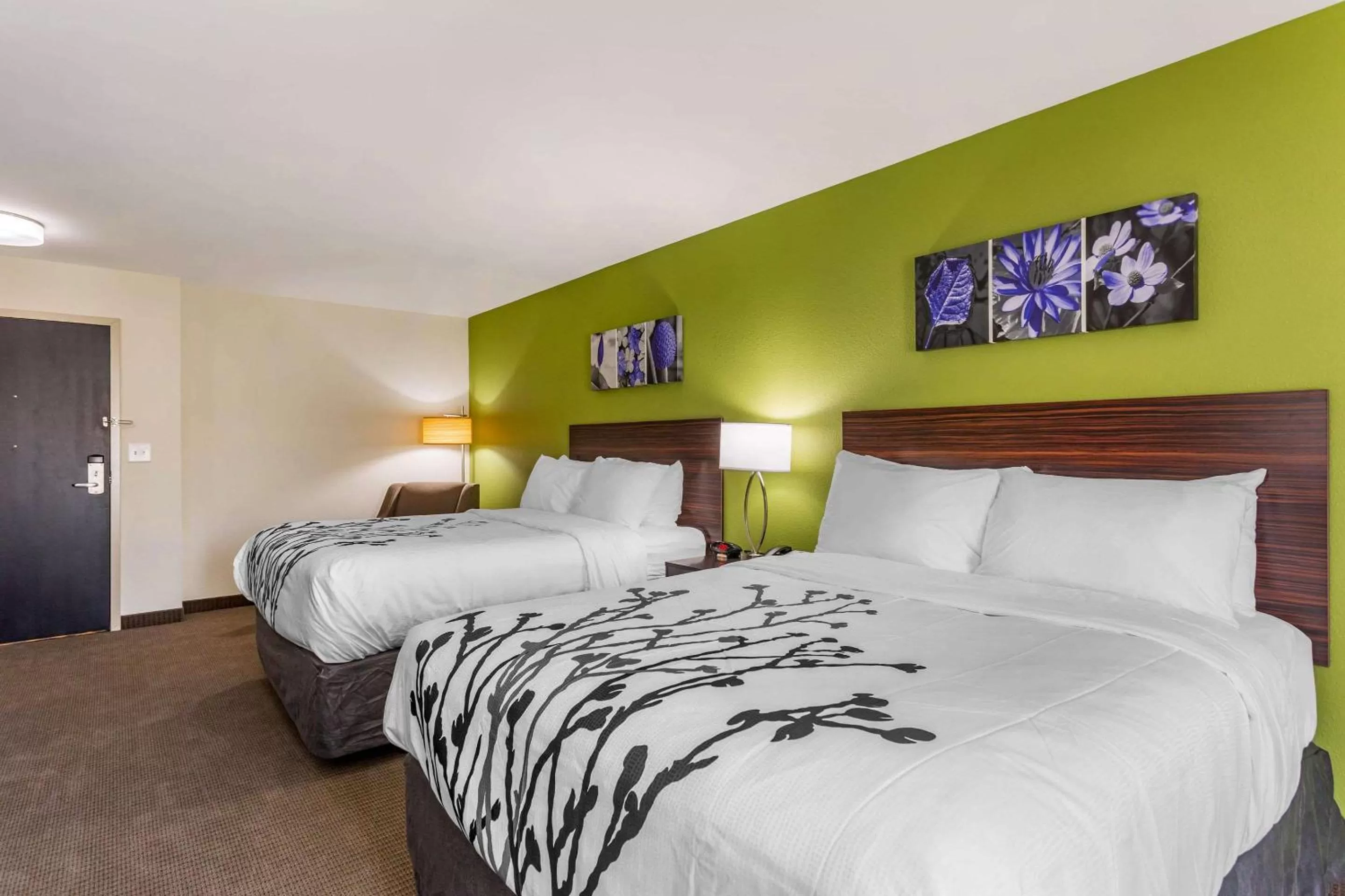 Photo of the whole room, Bed in Sleep Inn & Suites Gallatin - Nashville Metro