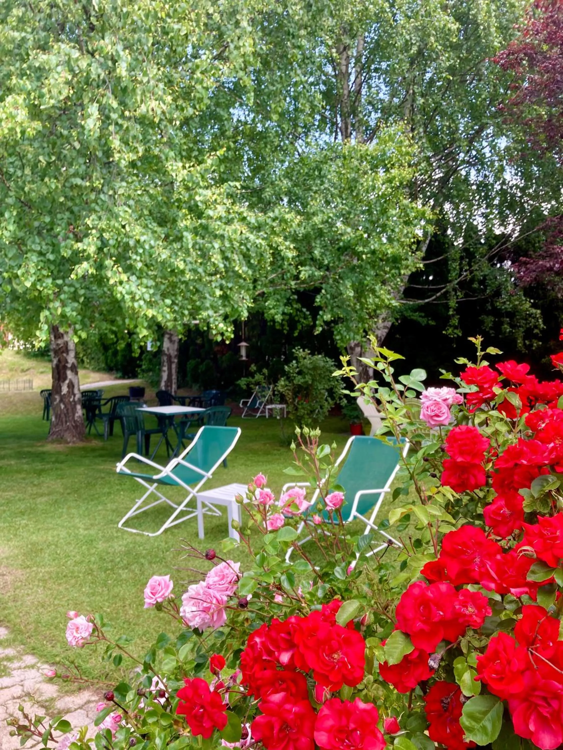 Garden in Le Catinat Fleuri