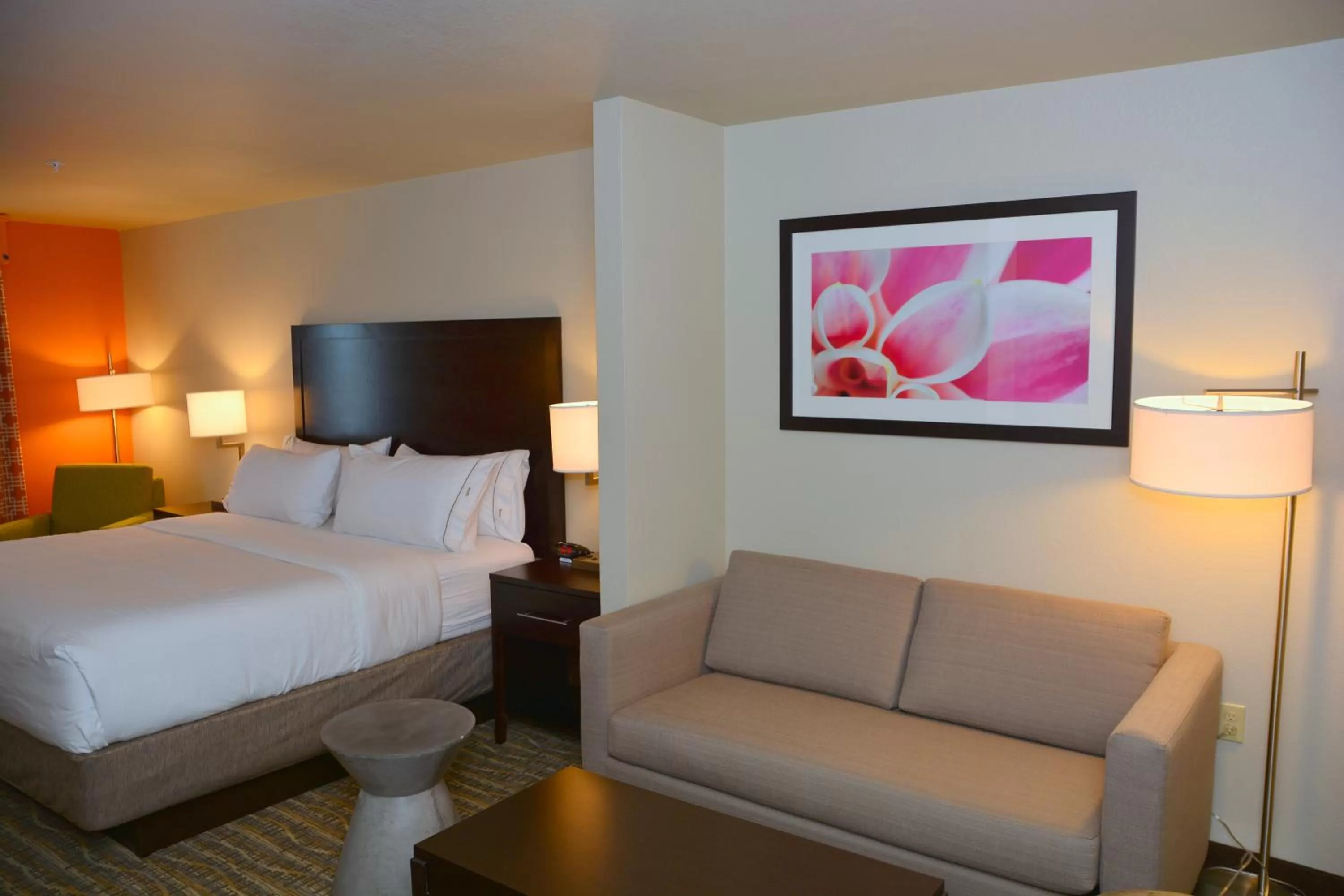 Photo of the whole room, Bed in Holiday Inn Express Tomball by IHG