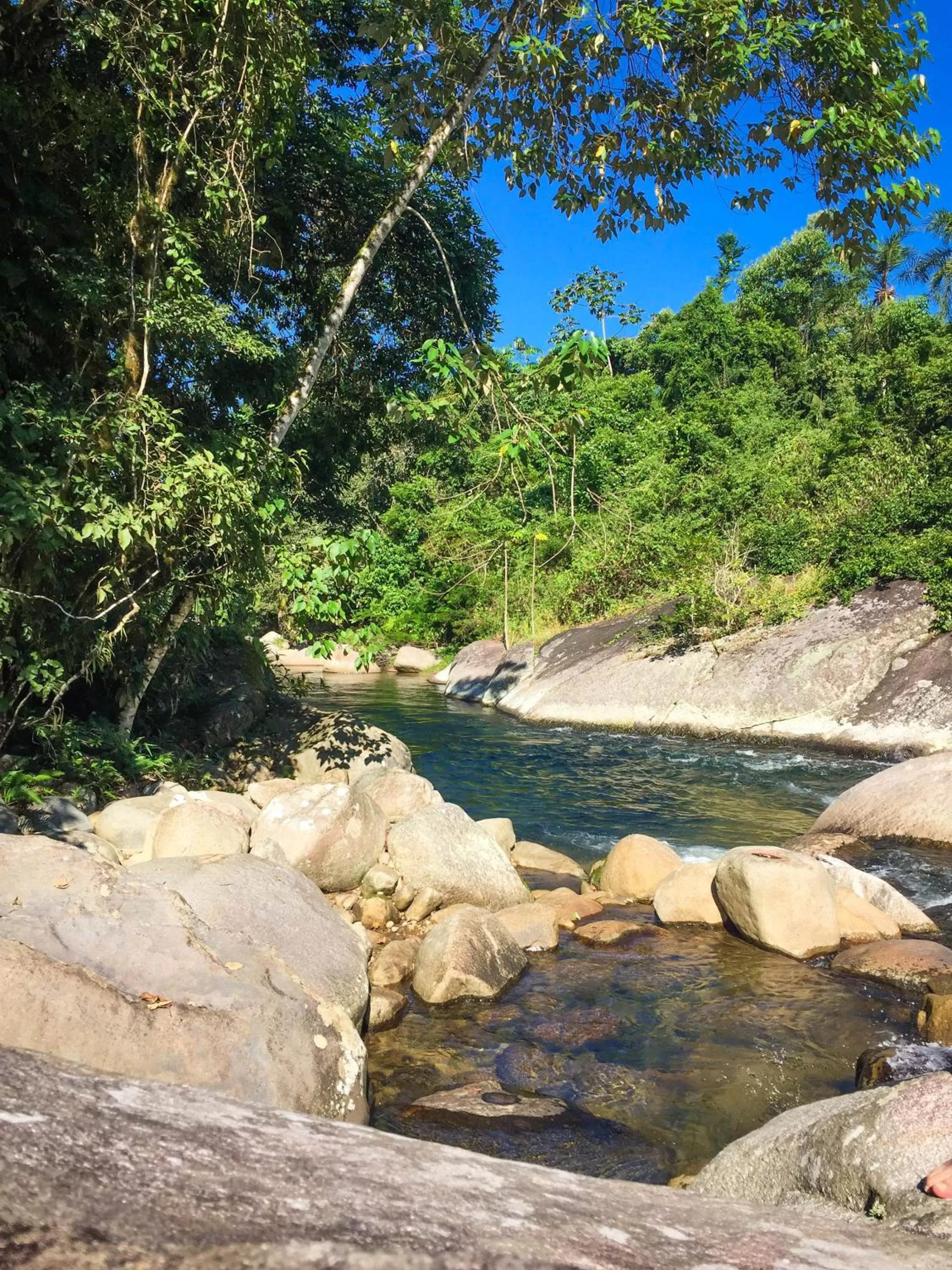 Natural landscape in Pousada Canto do Curió Paraty