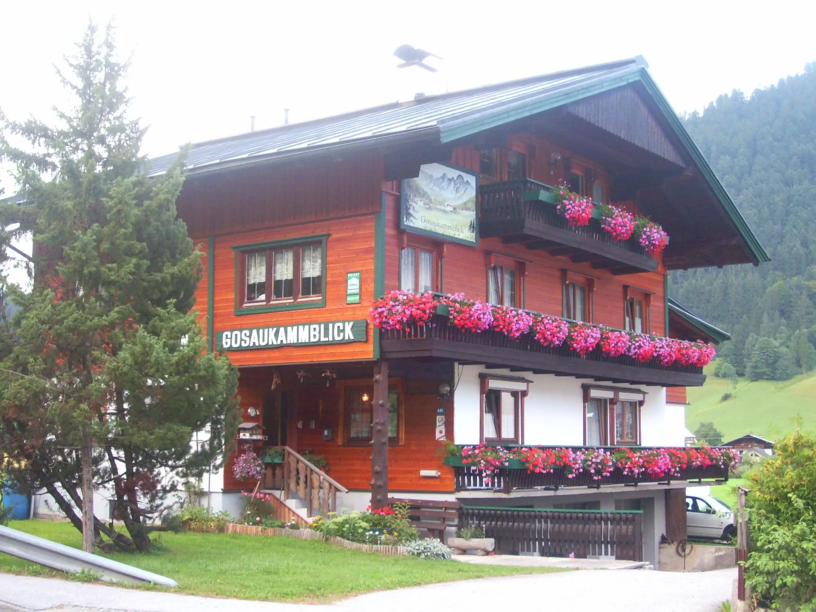 Property Building in Privatpension Gosaukammblick