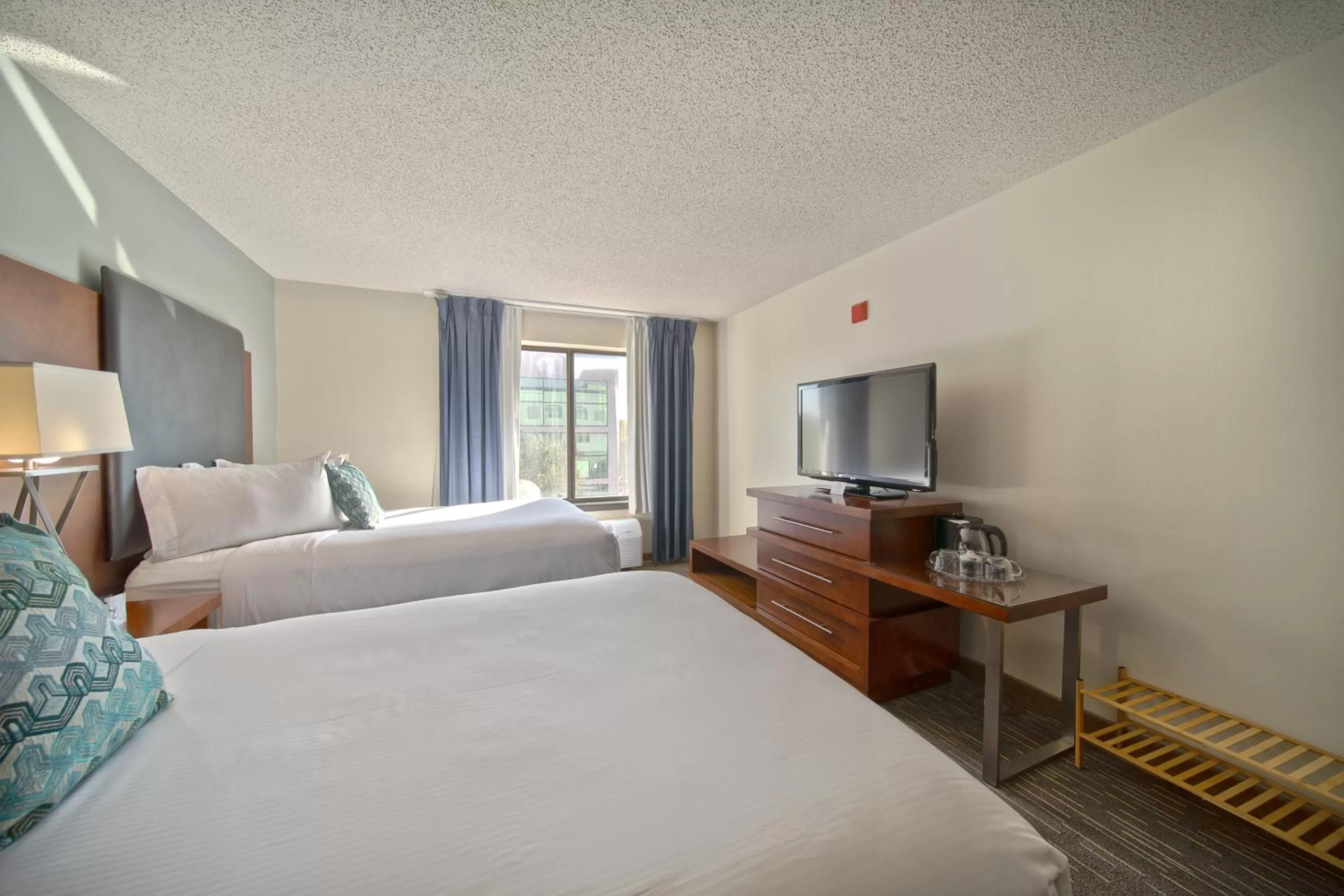 Bedroom, Bed in Wingate by Wyndham and Williamson Conference Center