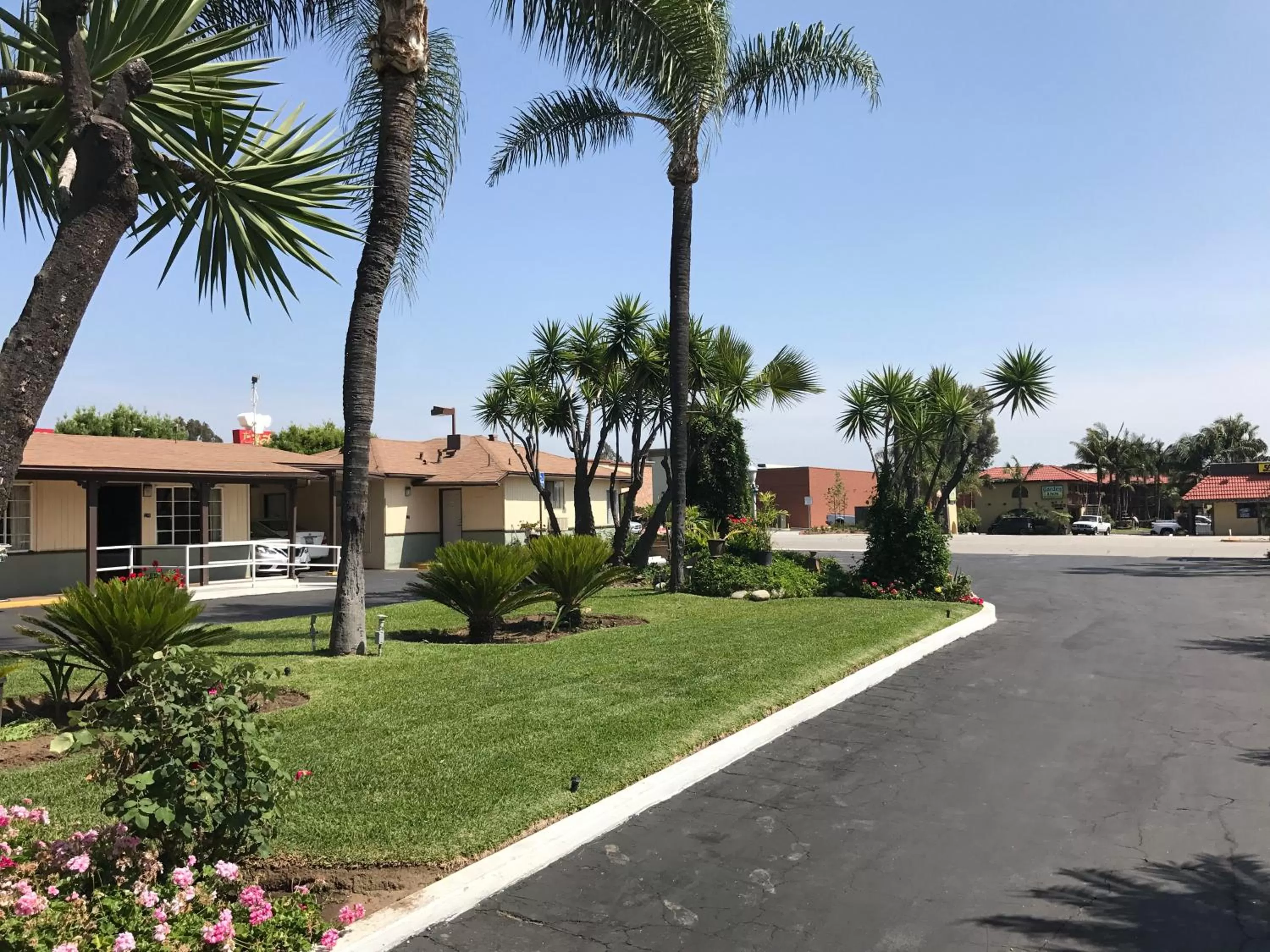 Garden in Palm Tropics Motel