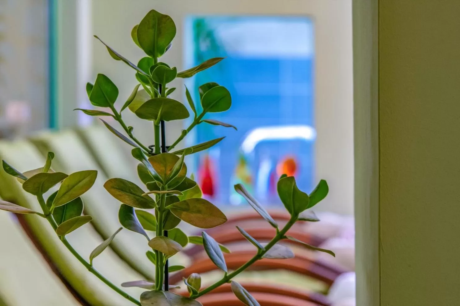 Spa and wellness centre/facilities in Hotel Alpenblick Kreischberg