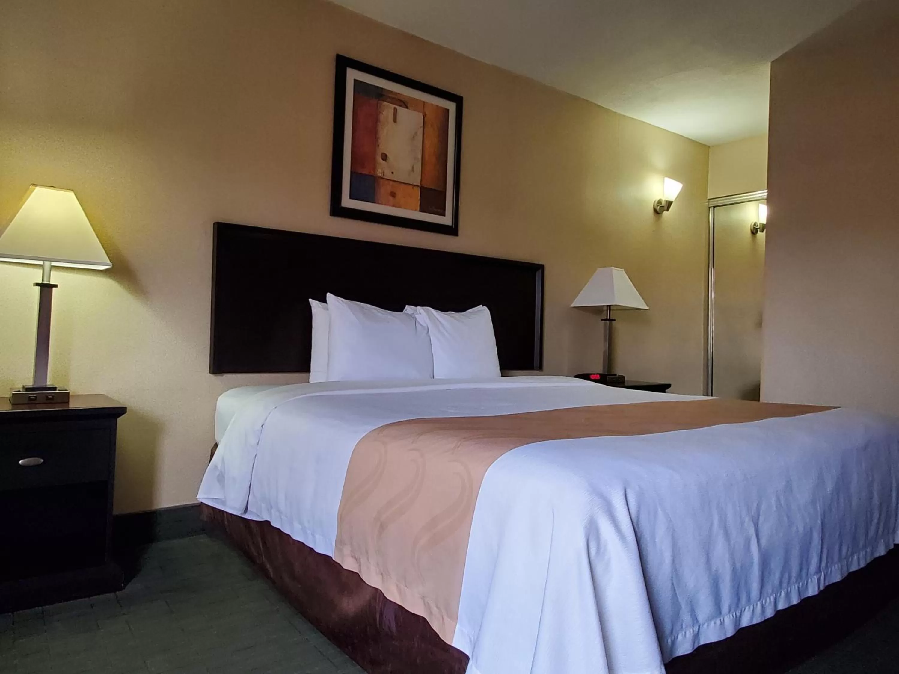 Standard Room, 1 King Bed, Non Smoking in Quality Inn & Suites Anaheim at the Park