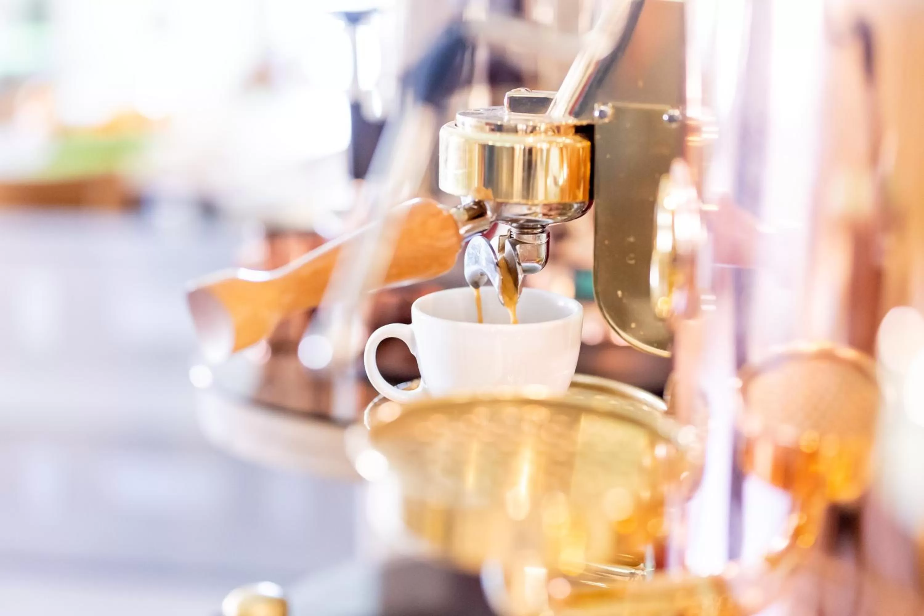 Restaurant/places to eat in Kummerower Hof