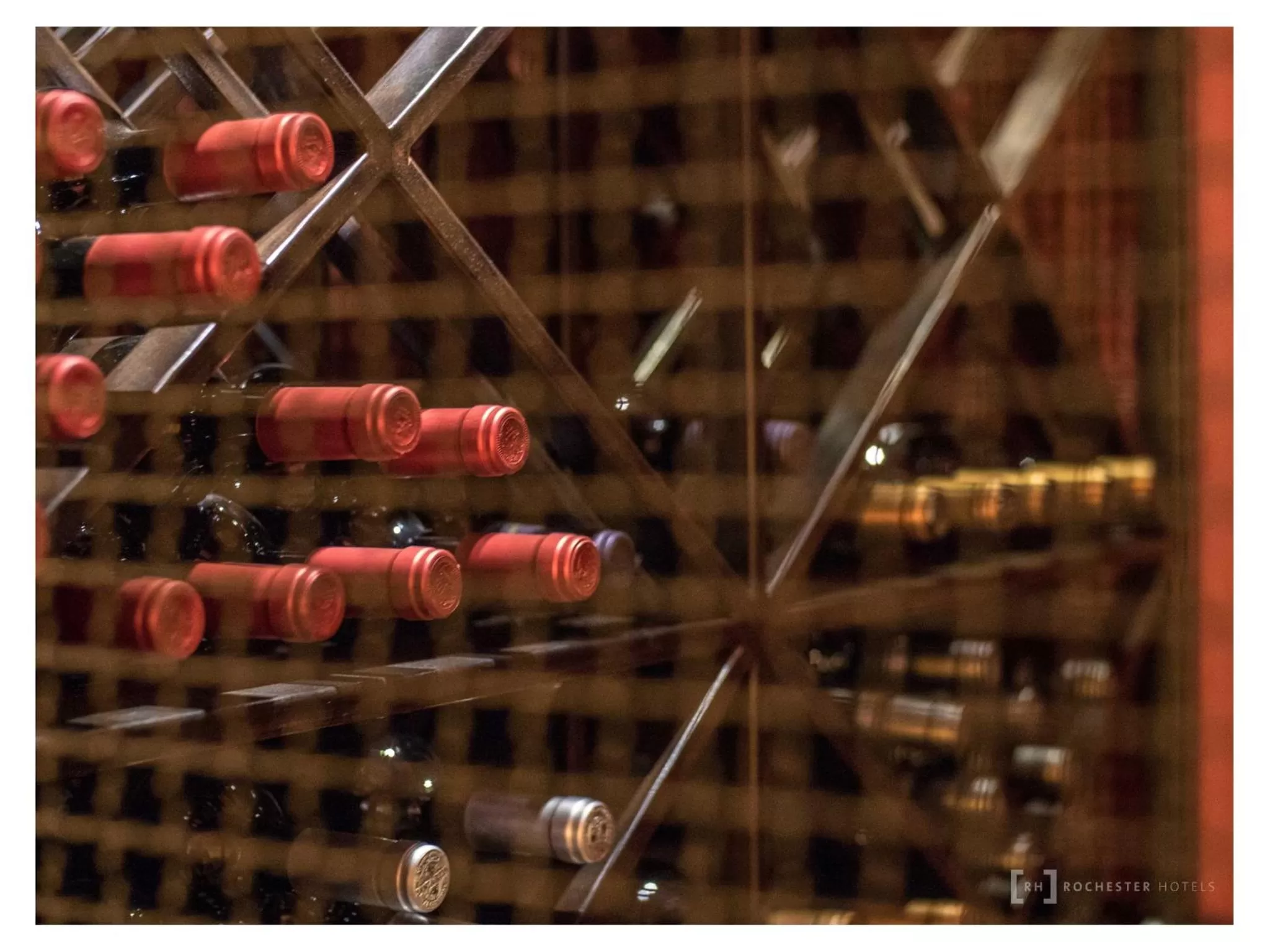 Lounge or bar in Rochester Calafate