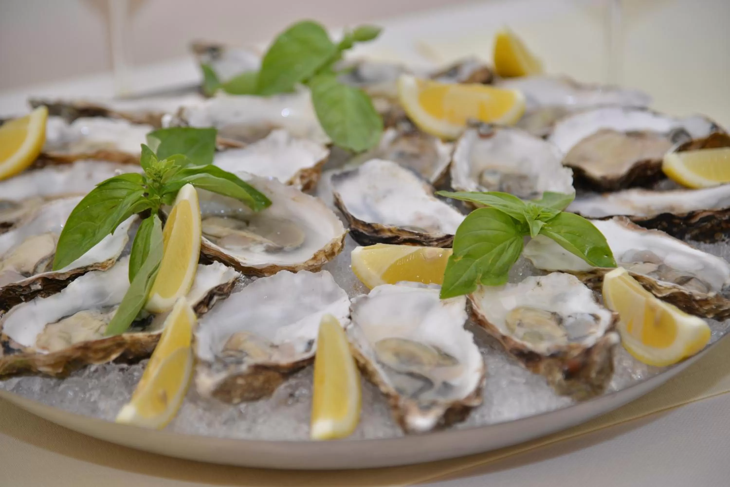 Food close-up, Food in Pletnevskiy Inn