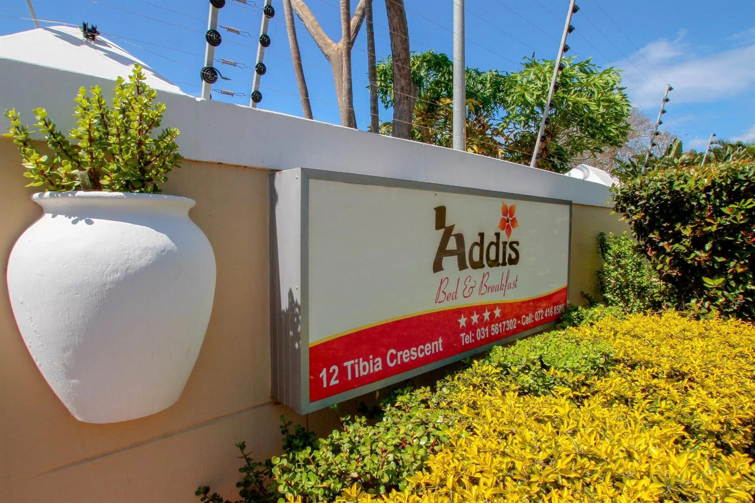 Property Logo/Sign in Addis Bed and Breakfast