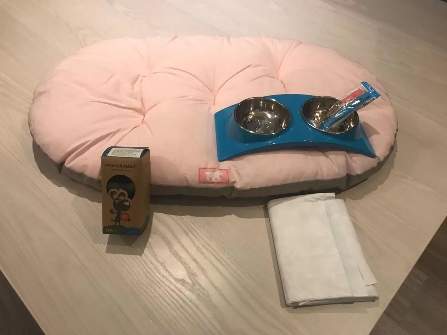 Pets, Bed in Hola Motel