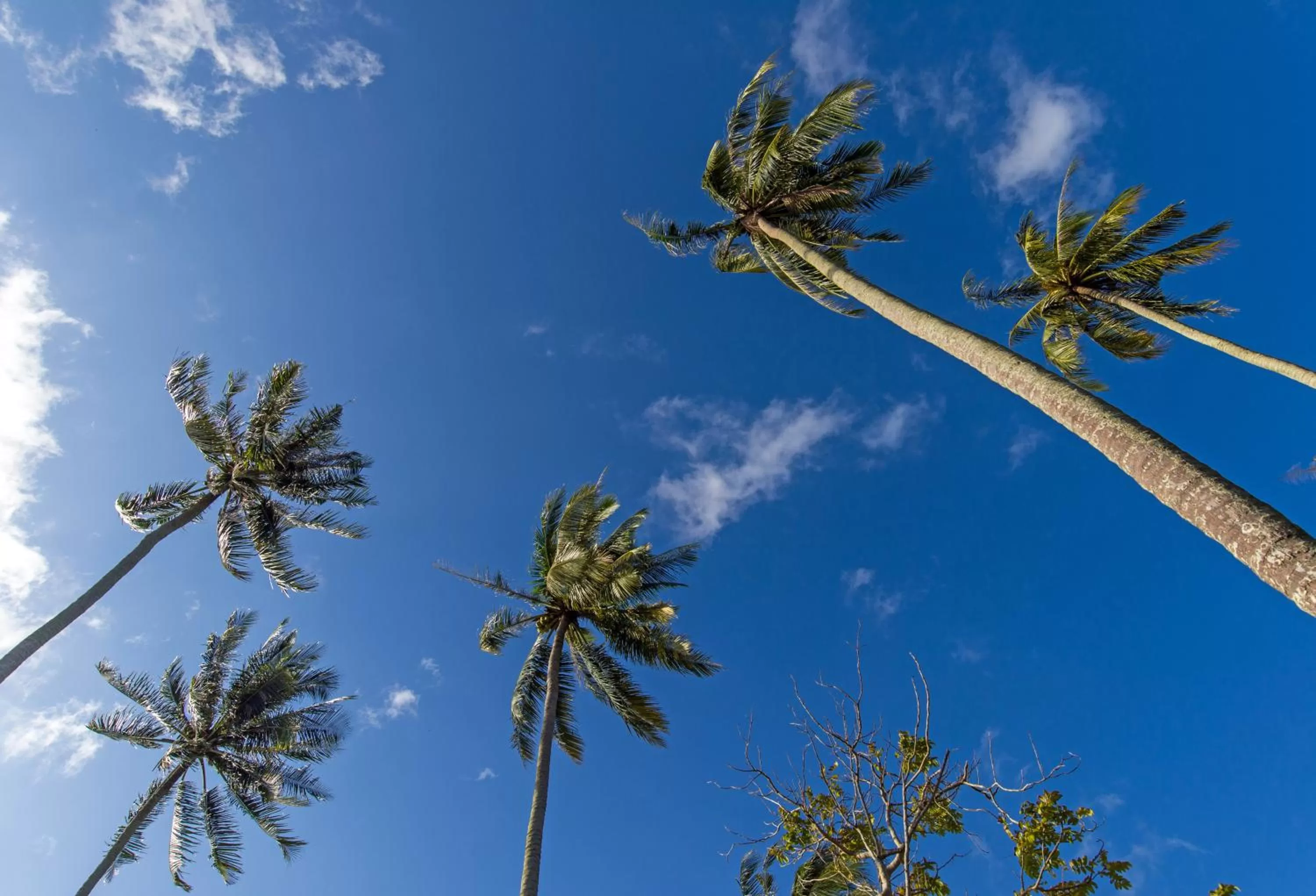 Day in Islanda Hideaway Resort