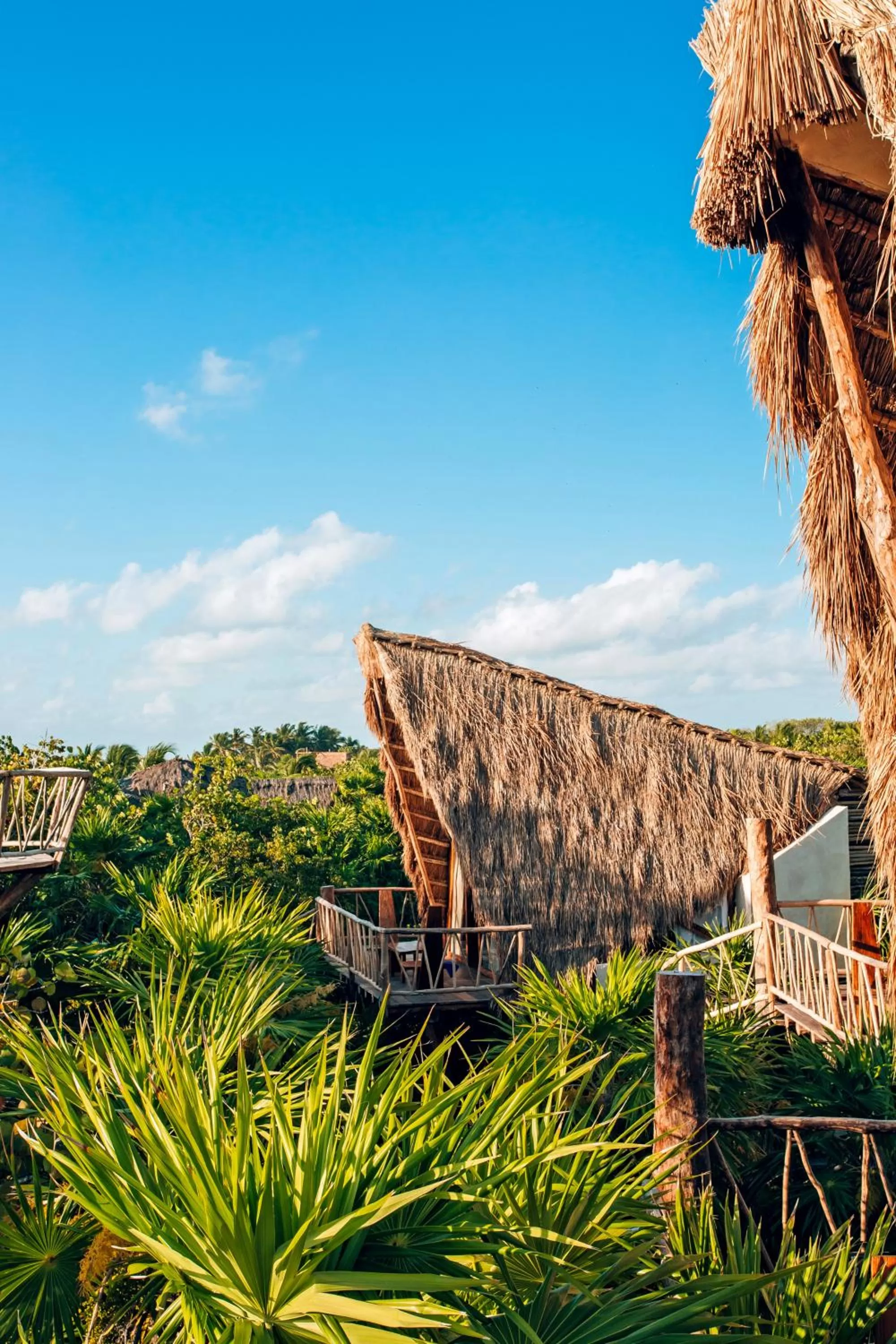 Garden view in Ikal Tulum Hotel