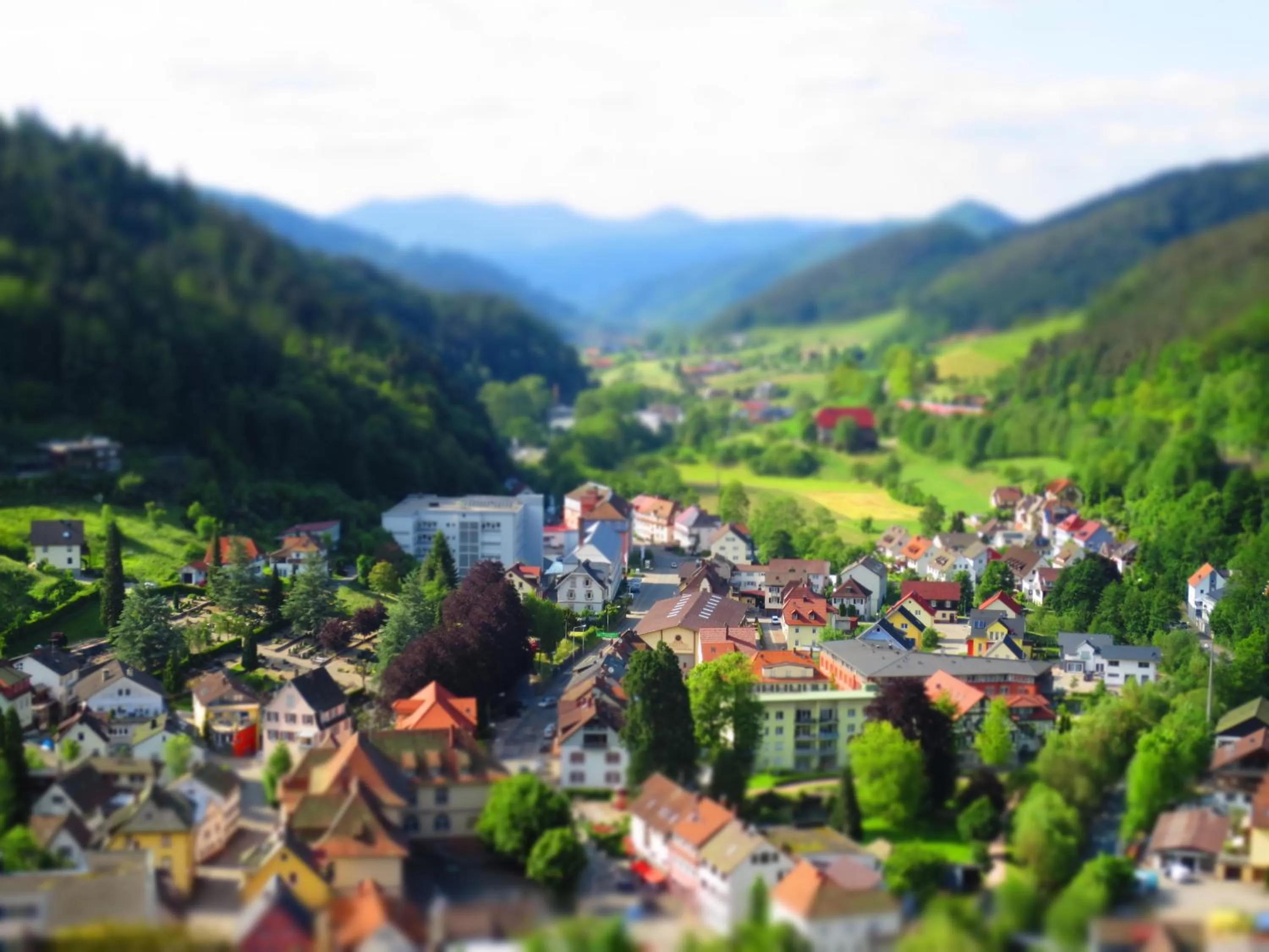 Area and facilities in Hotel Schloss Hornberg