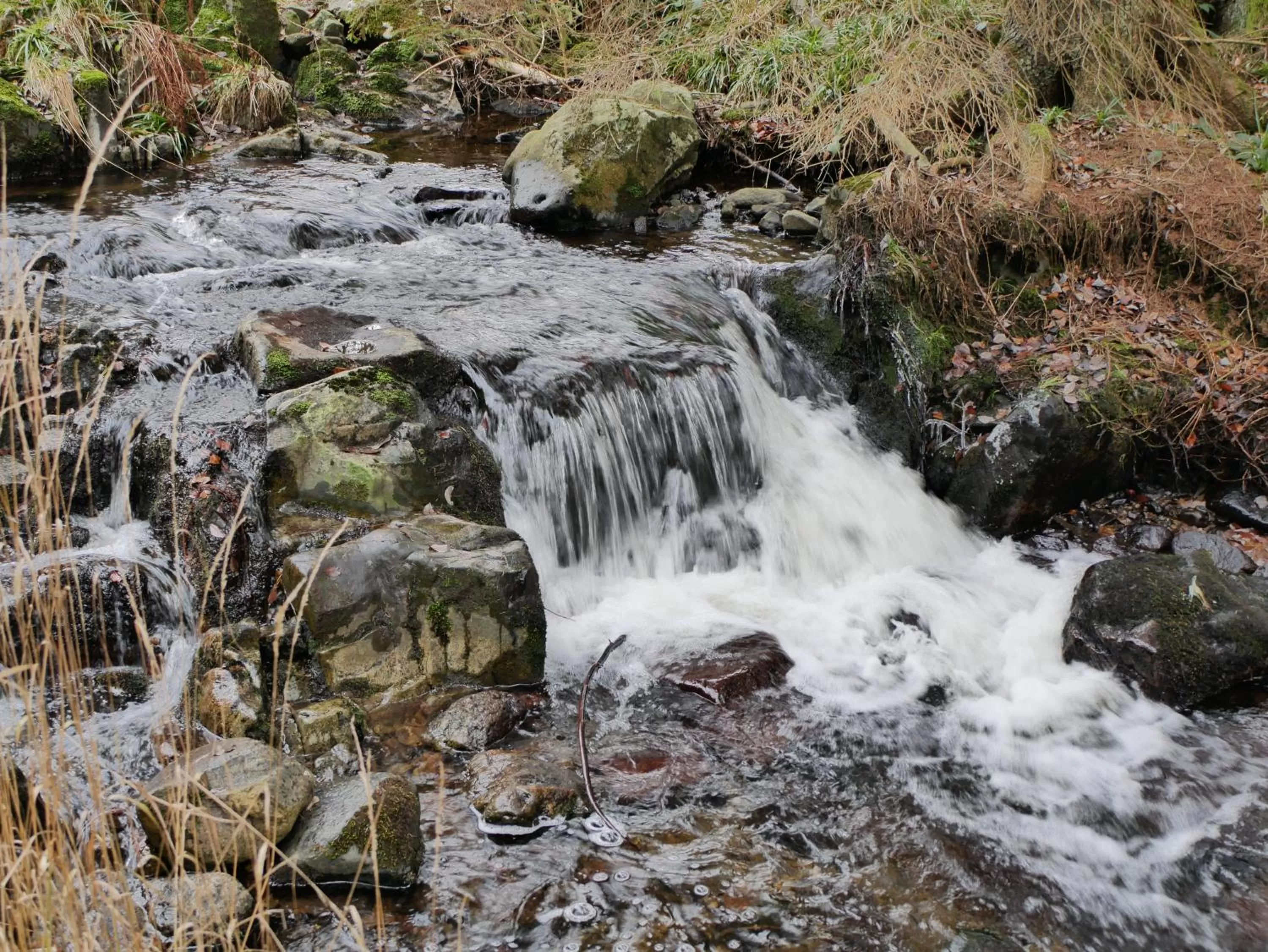 Hiking, Natural Landscape in Harz Hostel