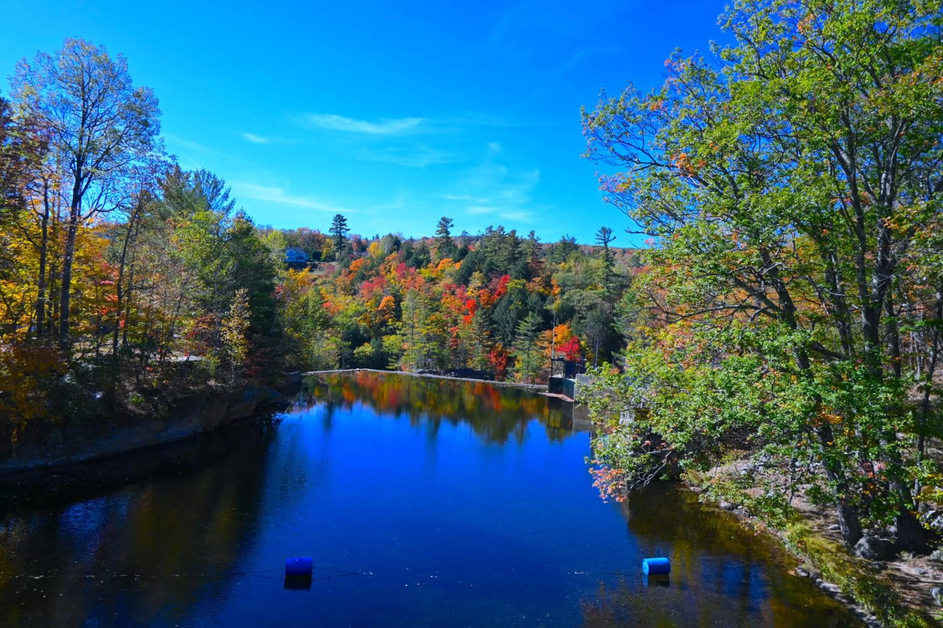 Natural landscape in The Lodge at Jackson Village