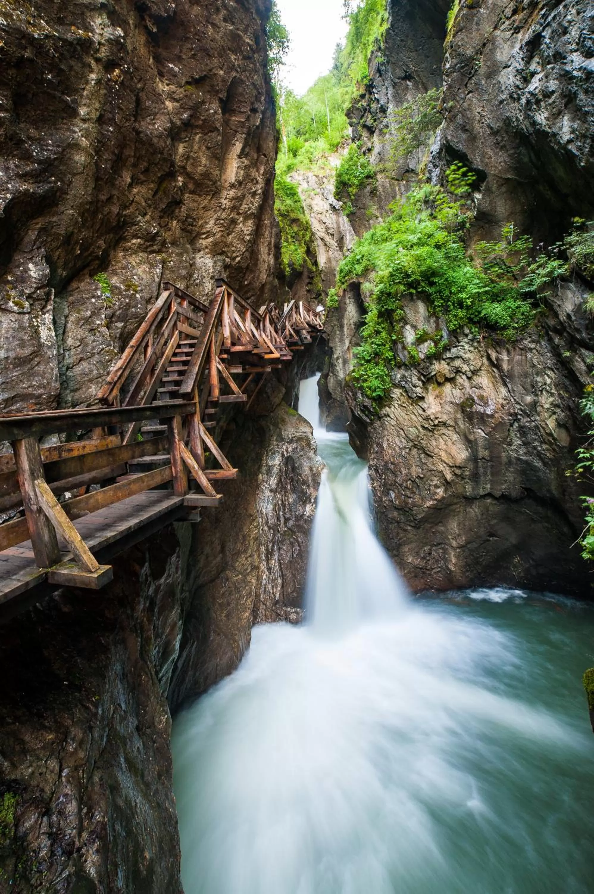 Summer in Auhof Wirtshaus & Suiten
