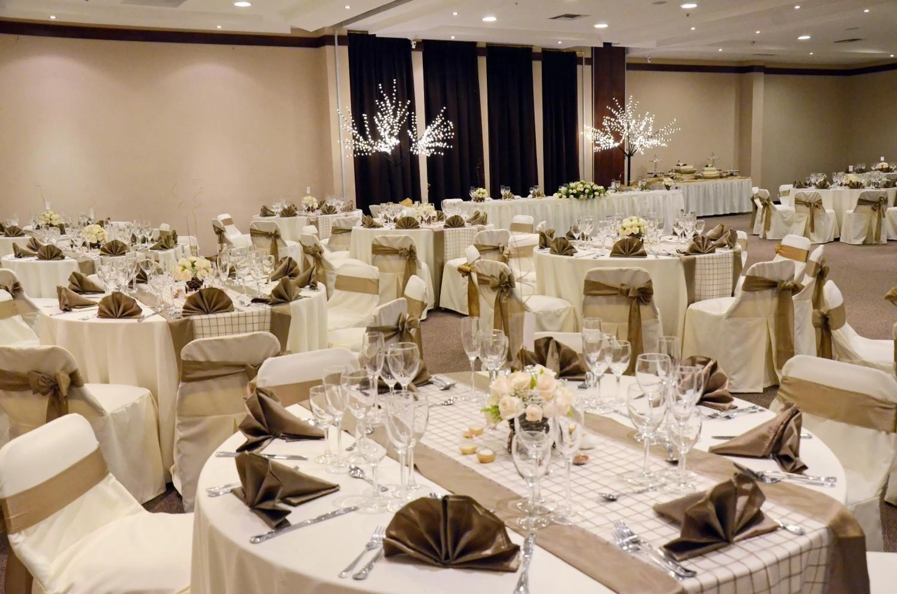 Banquet/Function facilities in Fenix Hotel