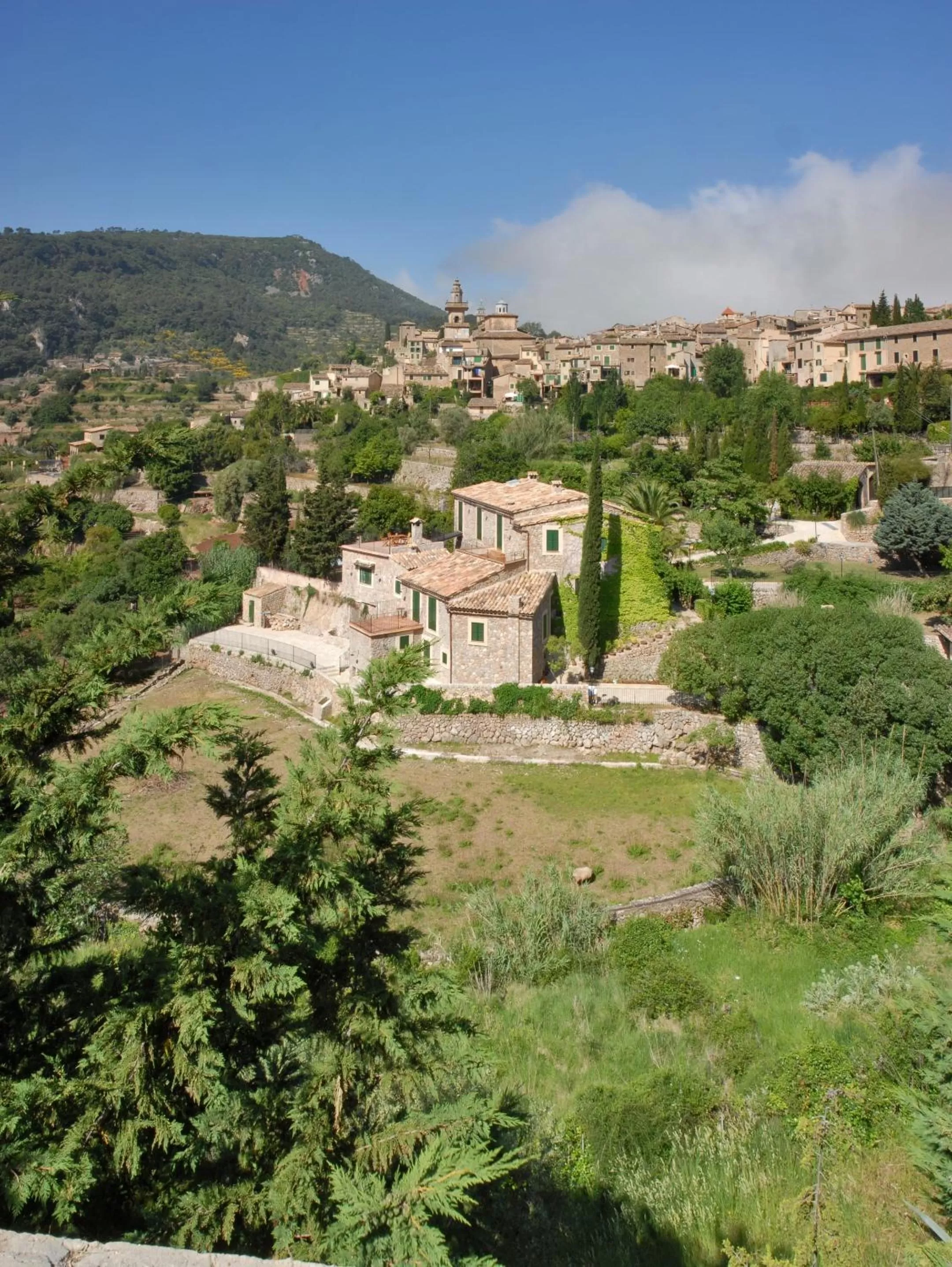 Day in Sa Vall Valldemossa