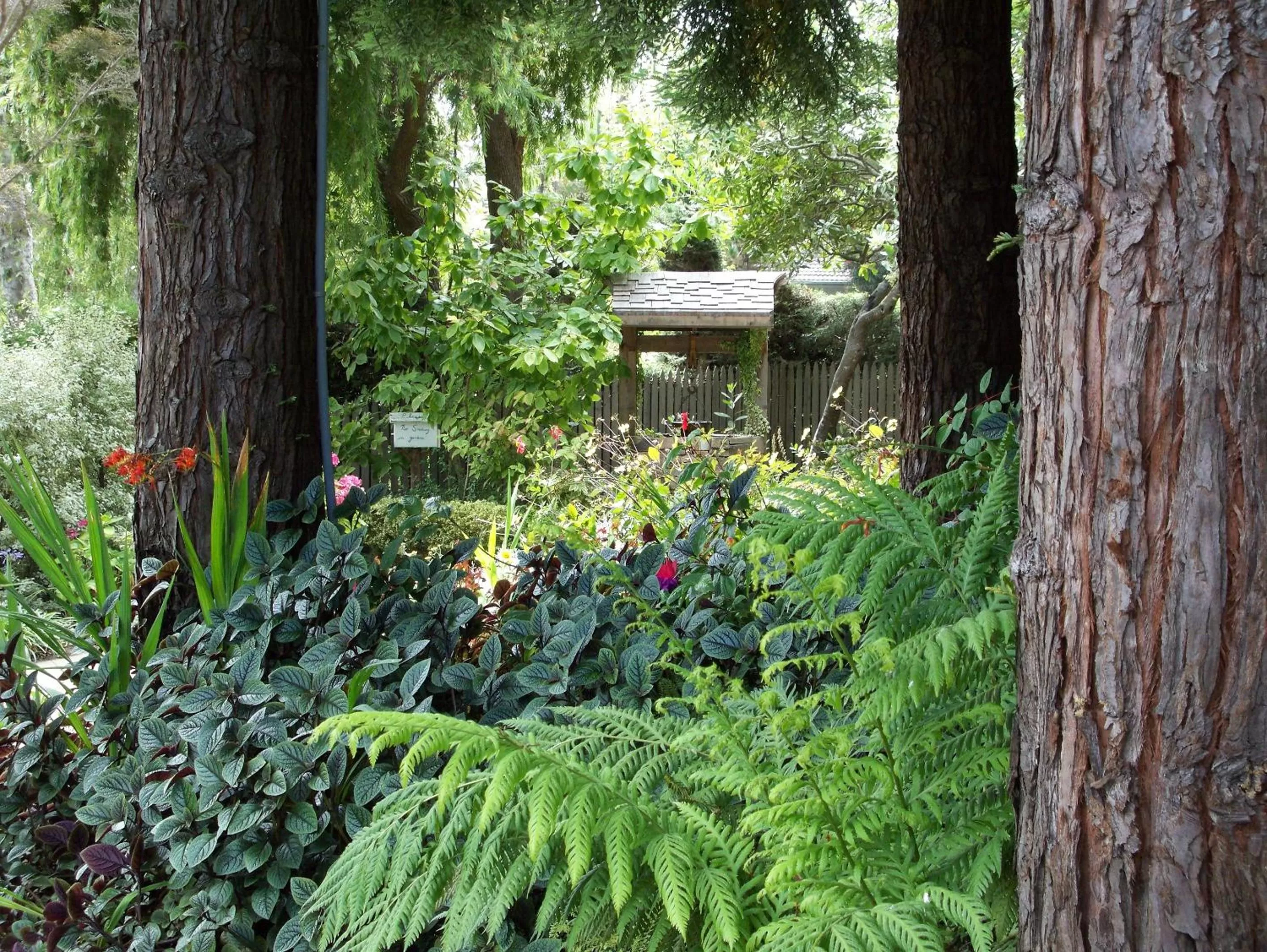 Garden in Cambria Pines Lodge