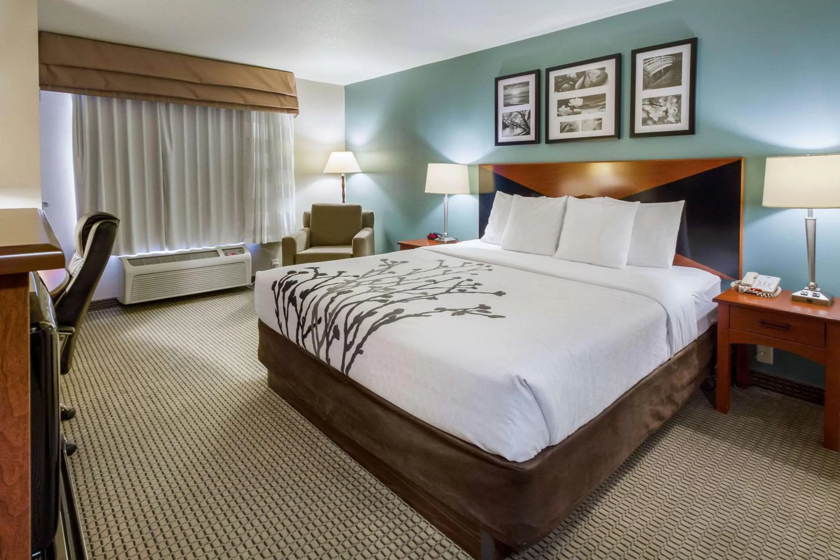 Photo of the whole room, Bed in Sleep Inn & Suites