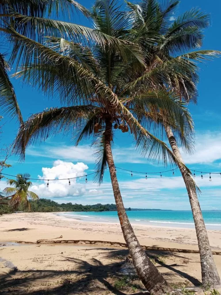 Beach in Casa Acuario Boutique Hotel