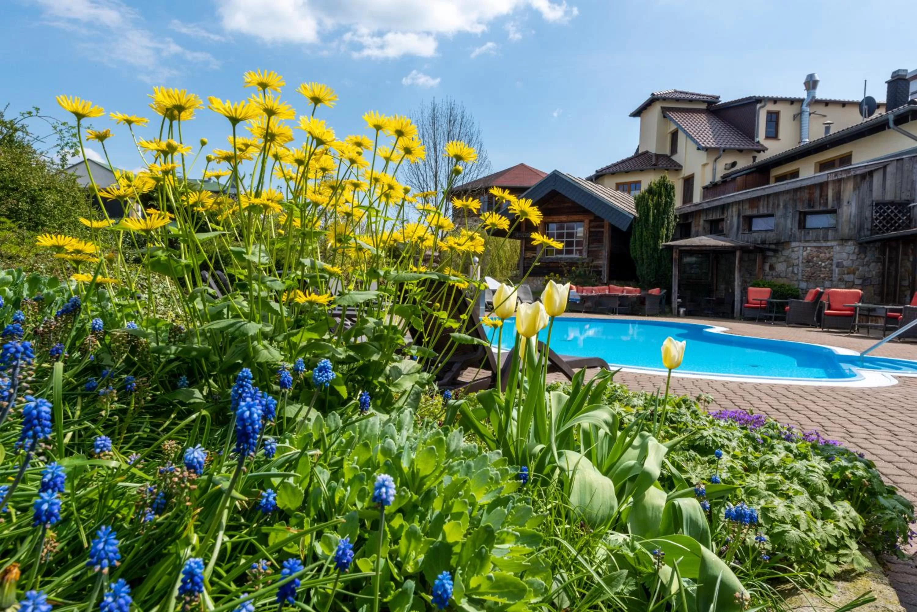 Garden in Wellnesshotel Seeschlößchen - Privat- Spa & Naturresort