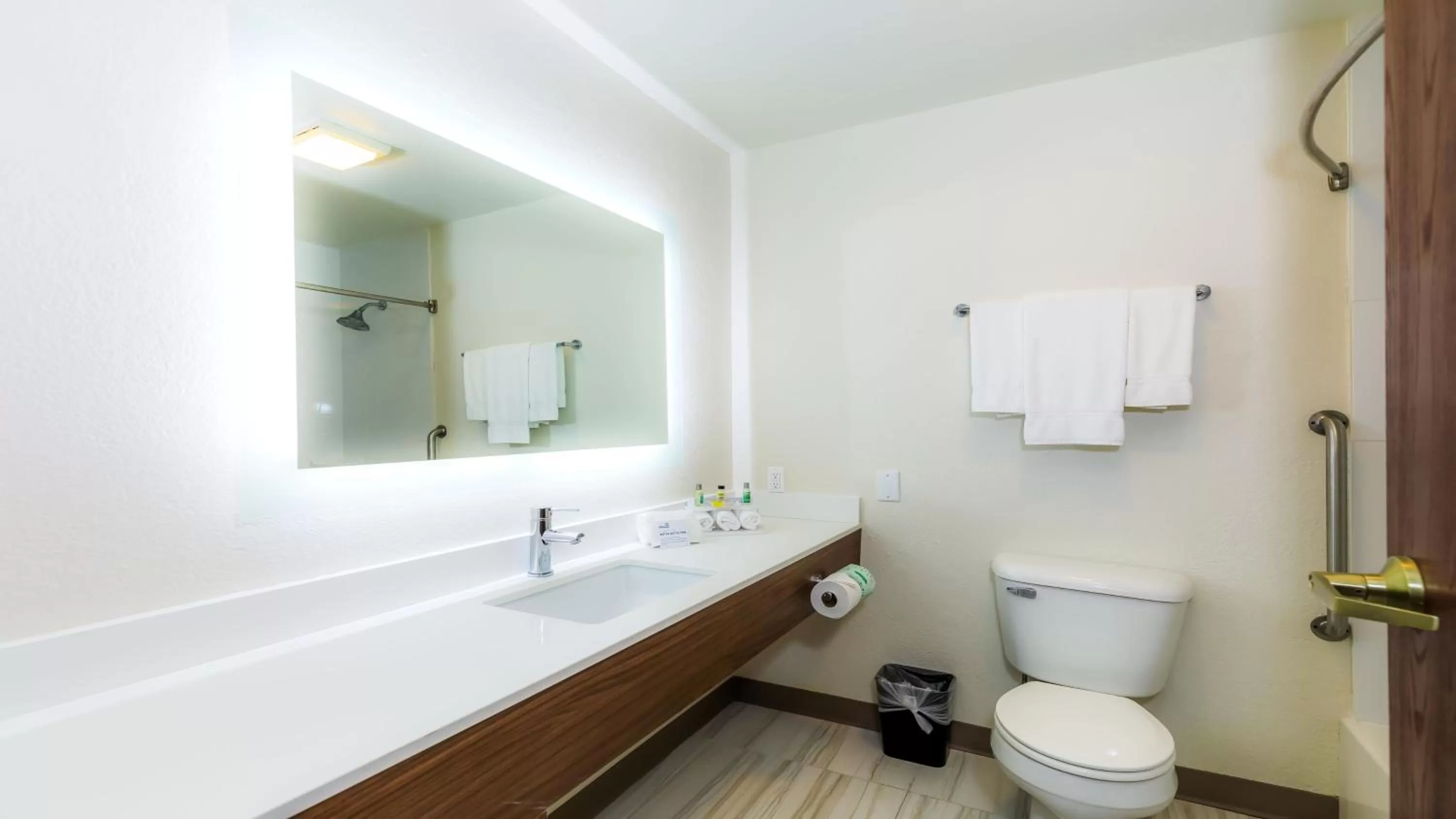 Bathroom in Holiday Inn Express Osage Beach - Lake of the Ozarks by IHG