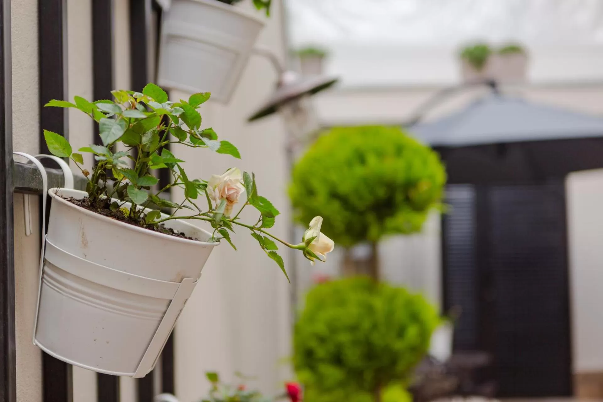 Garden in HOTEL BLOOM
