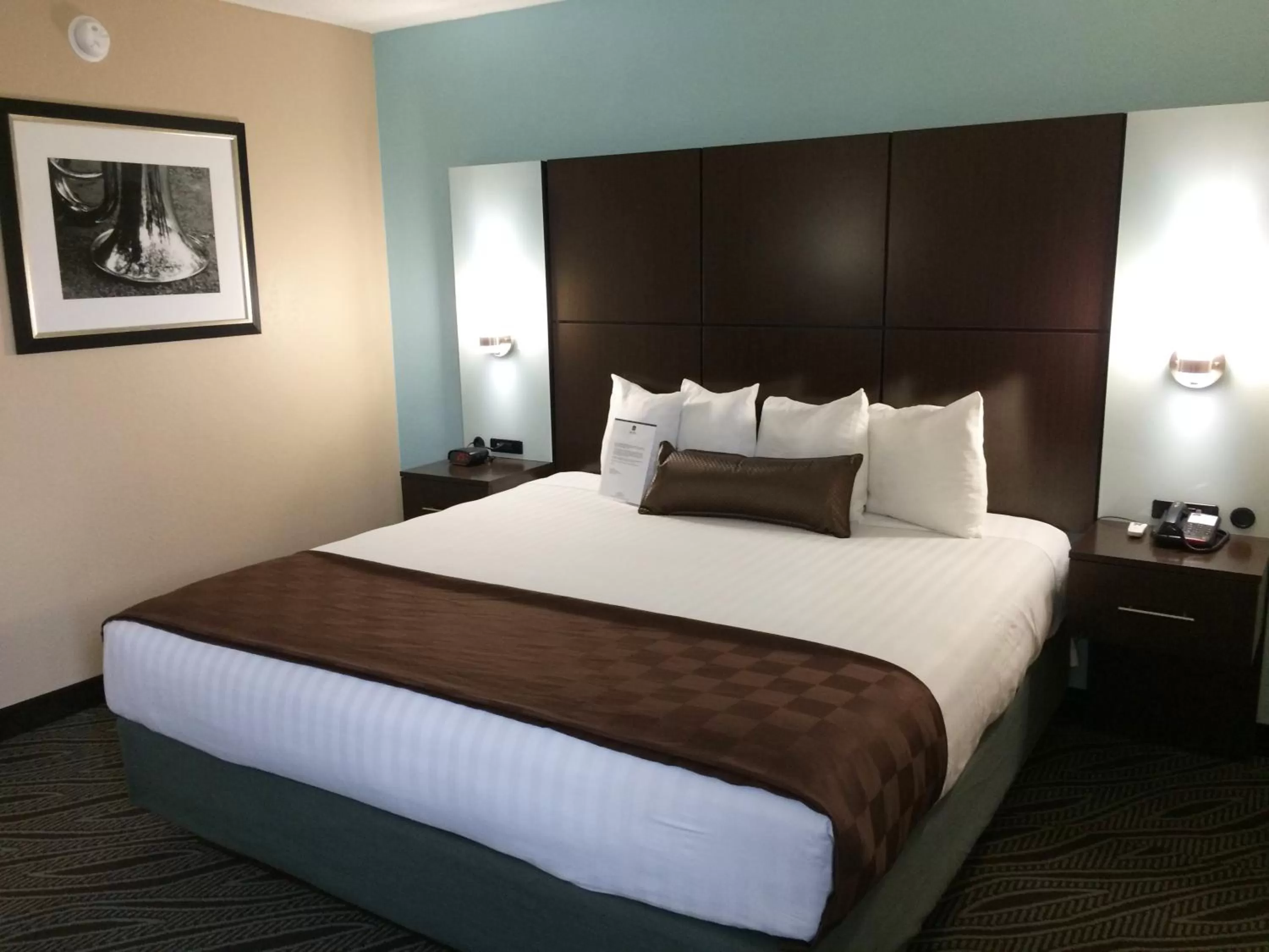 Photo of the whole room, Bed in Best Western Plus Galleria Inn & Suites