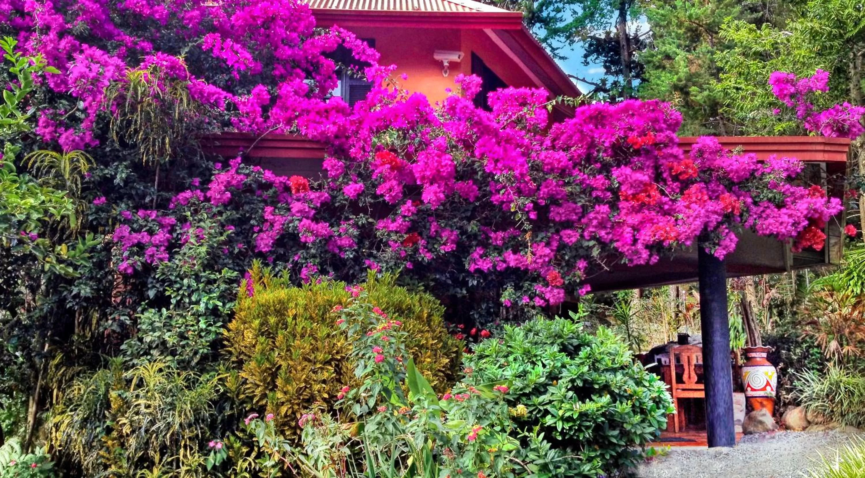 Restaurant/places to eat in Boquete Garden Inn