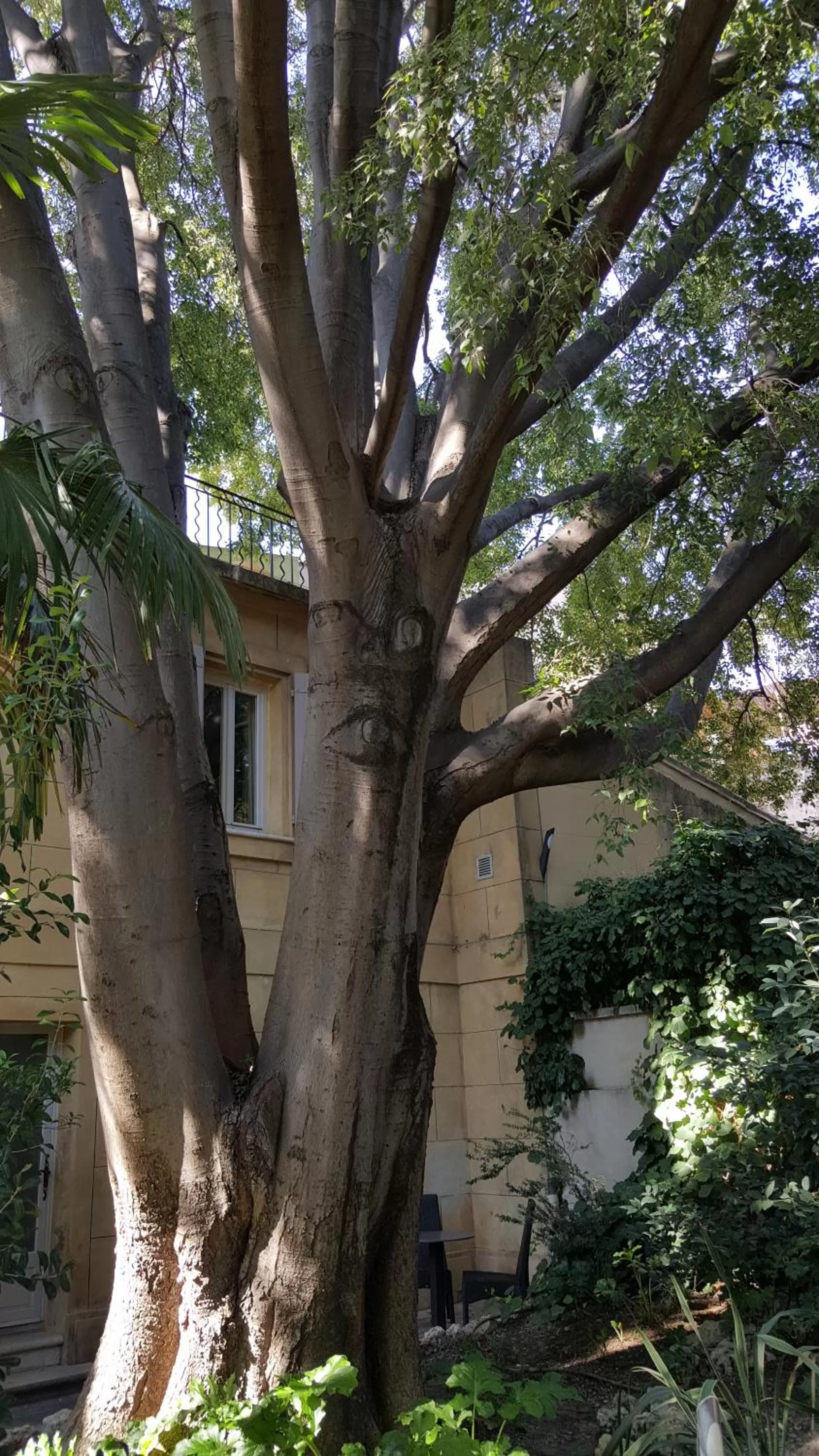 Patio in Hotel Spa Le Calendal
