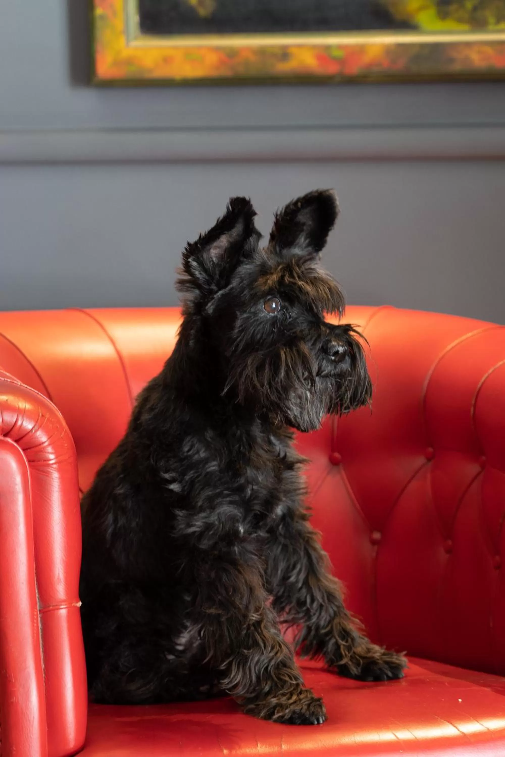Lobby or reception in Hotel King