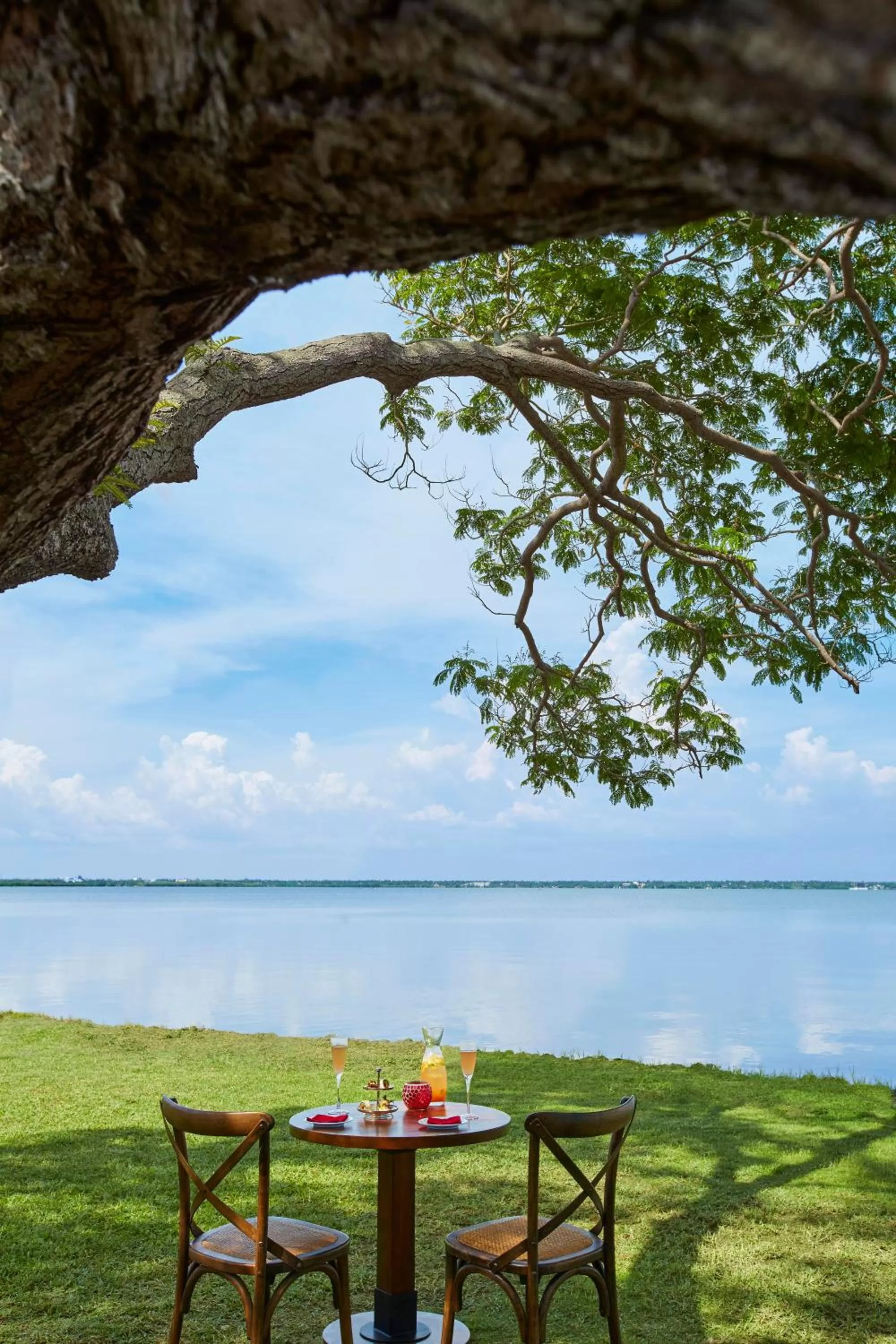 Restaurant/places to eat in Jetwing Lagoon Wellness, A Luxury Reserve - Adults Only