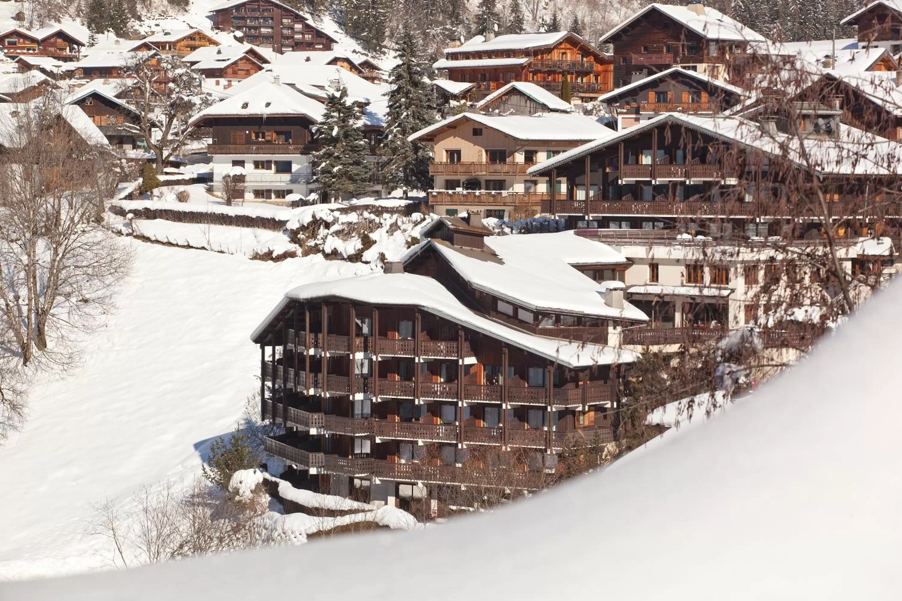 Facade/entrance in Hotel le Petit Dru