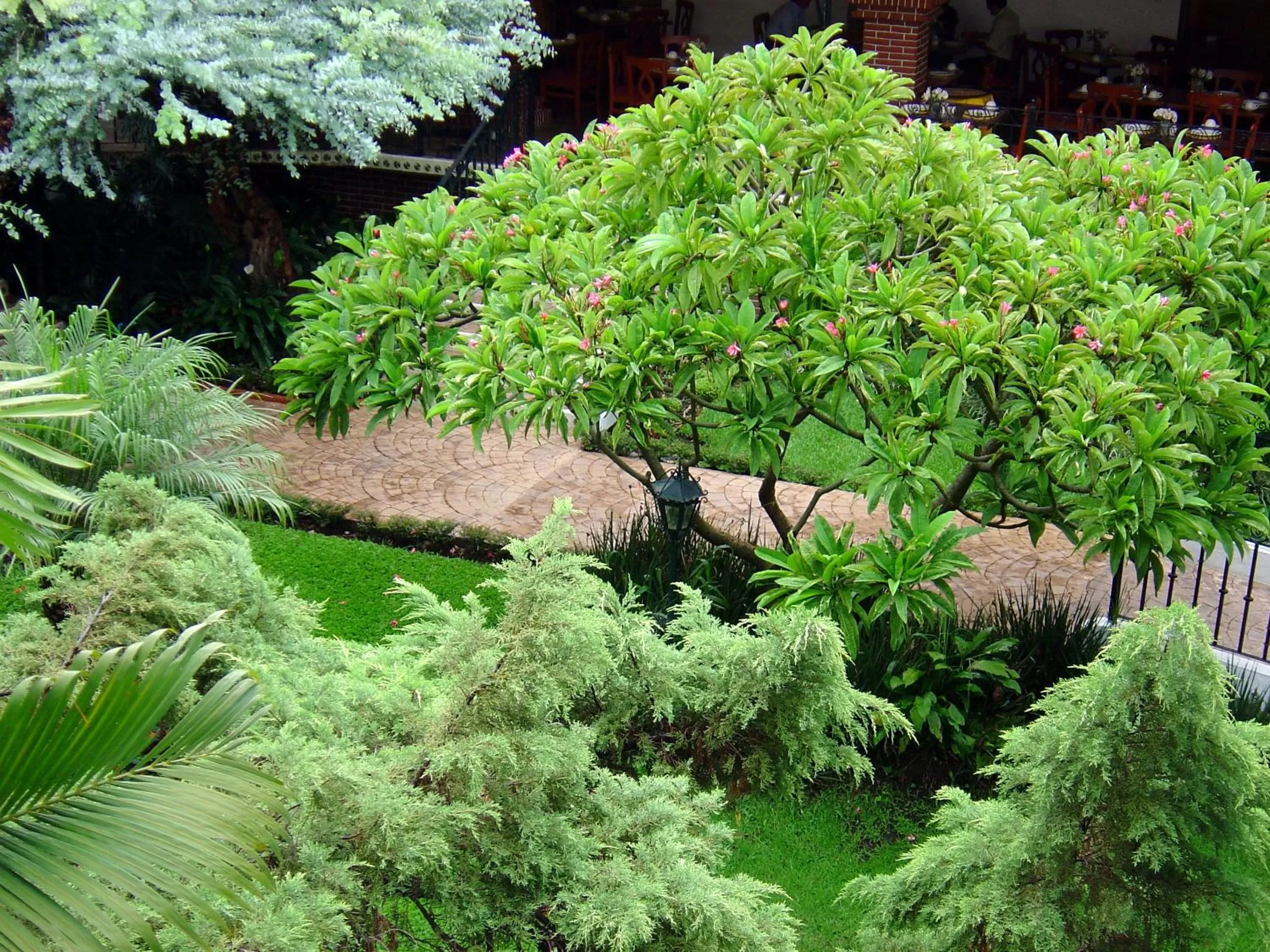 Garden in Hotel Vista Hermosa