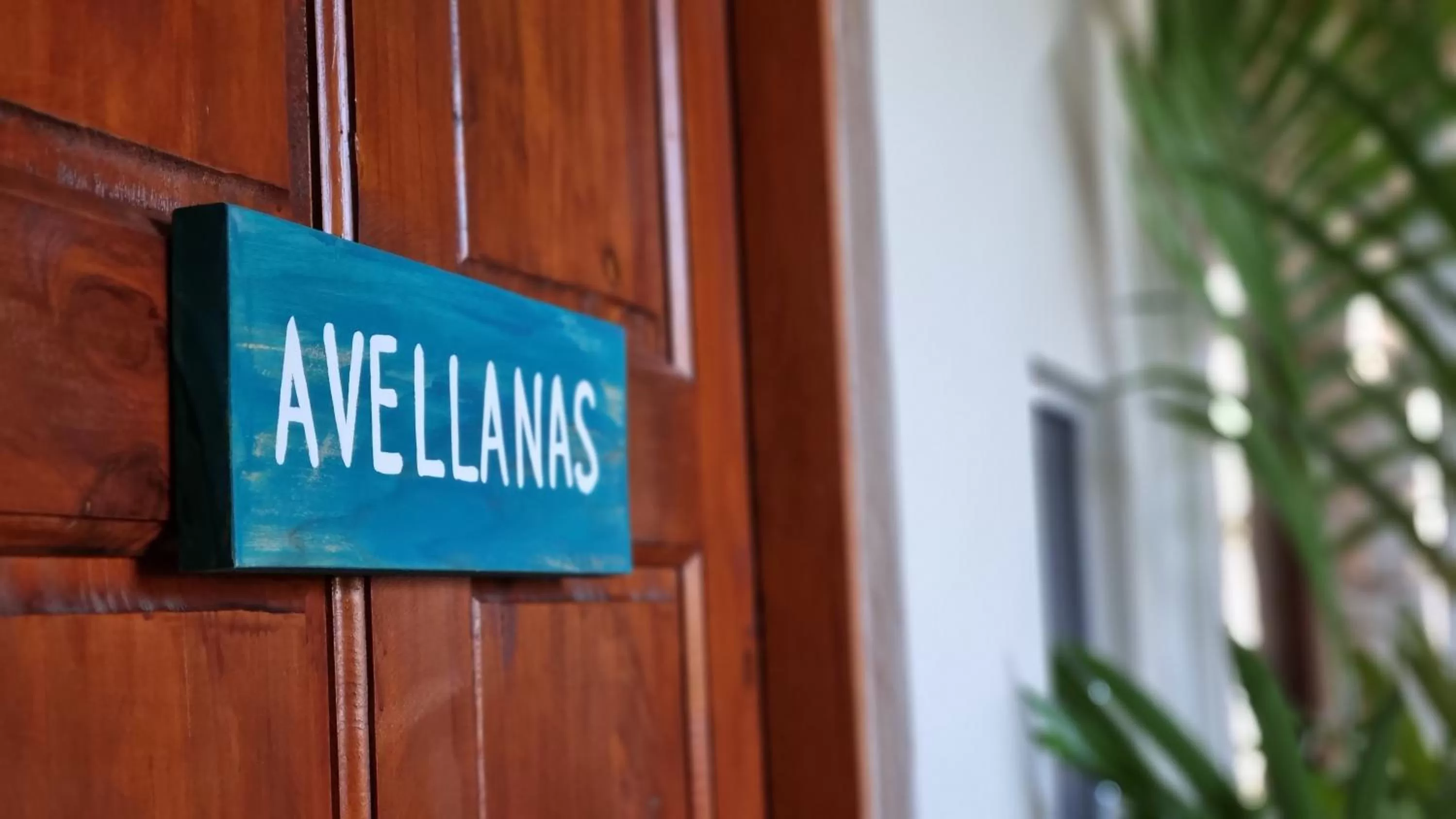 Logo/Certificate/Sign in Zulu Surf Hotel Tamarindo