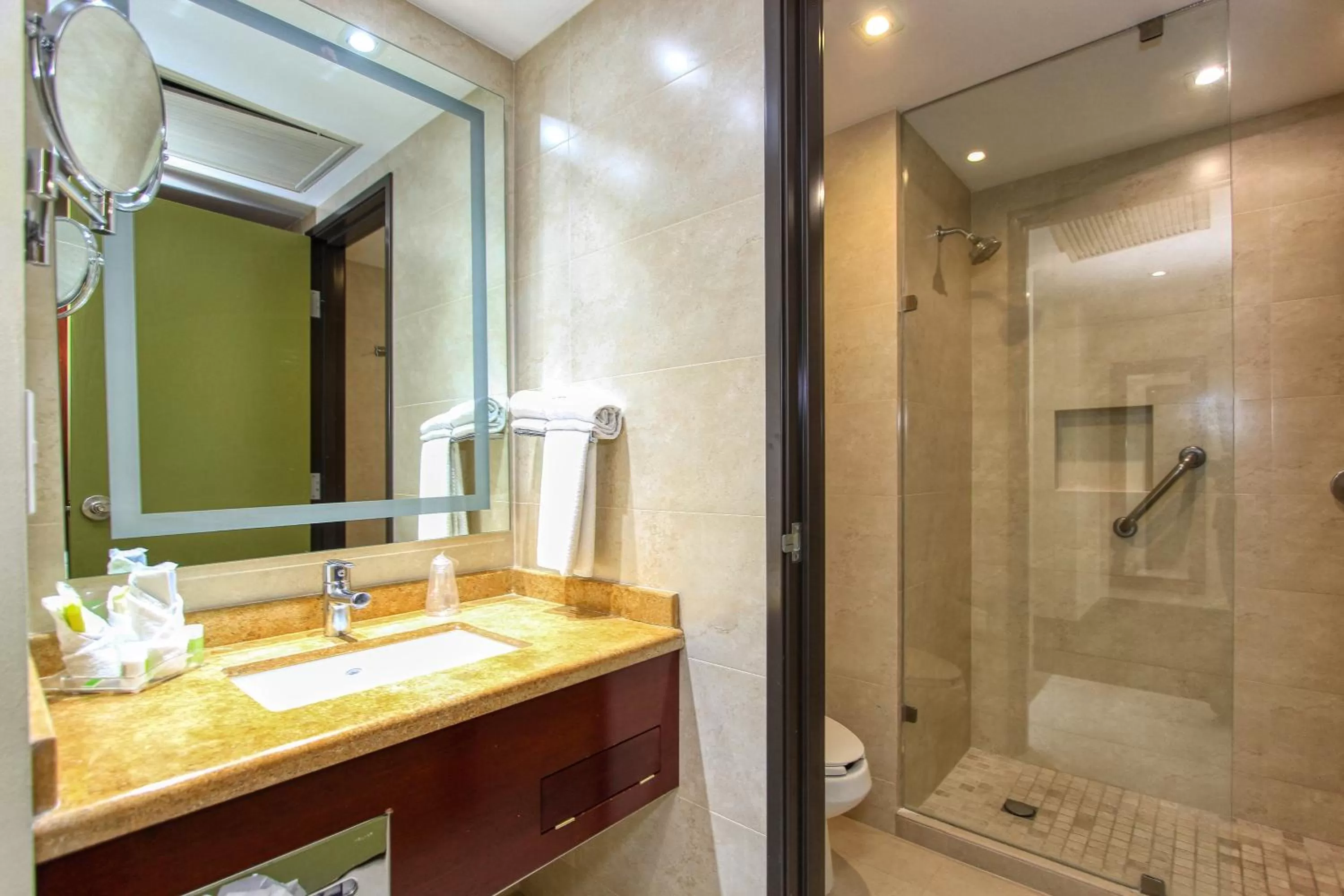 Bathroom in Holiday Inn Leon by IHG