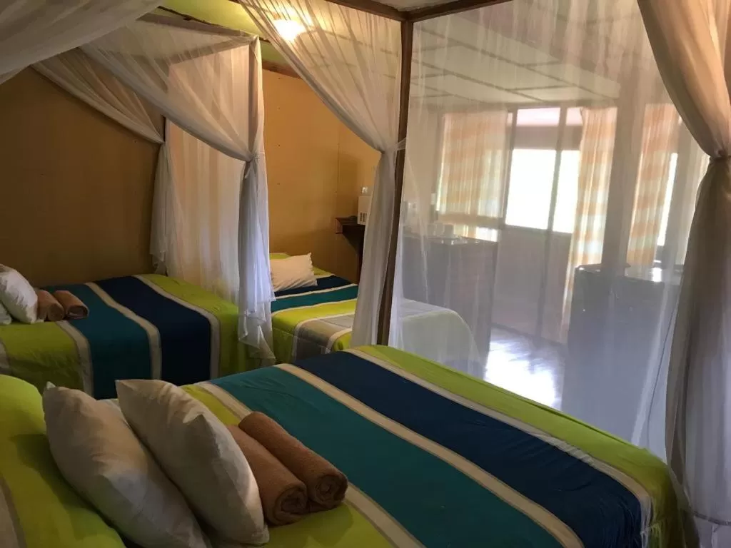 Photo of the whole room, Bed in Hotel Green Mountain turrialba