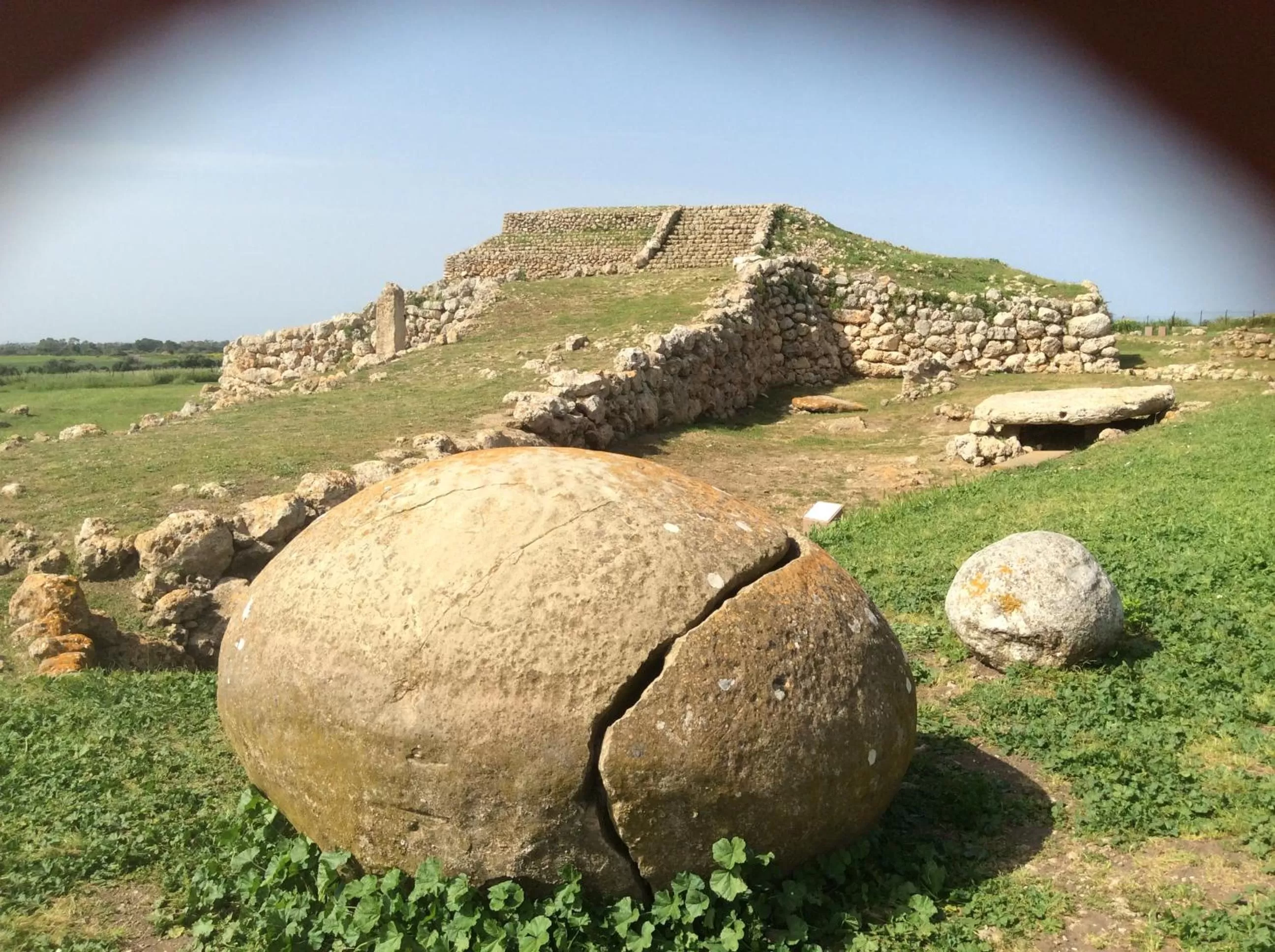 Activities in B&B Luce Viola