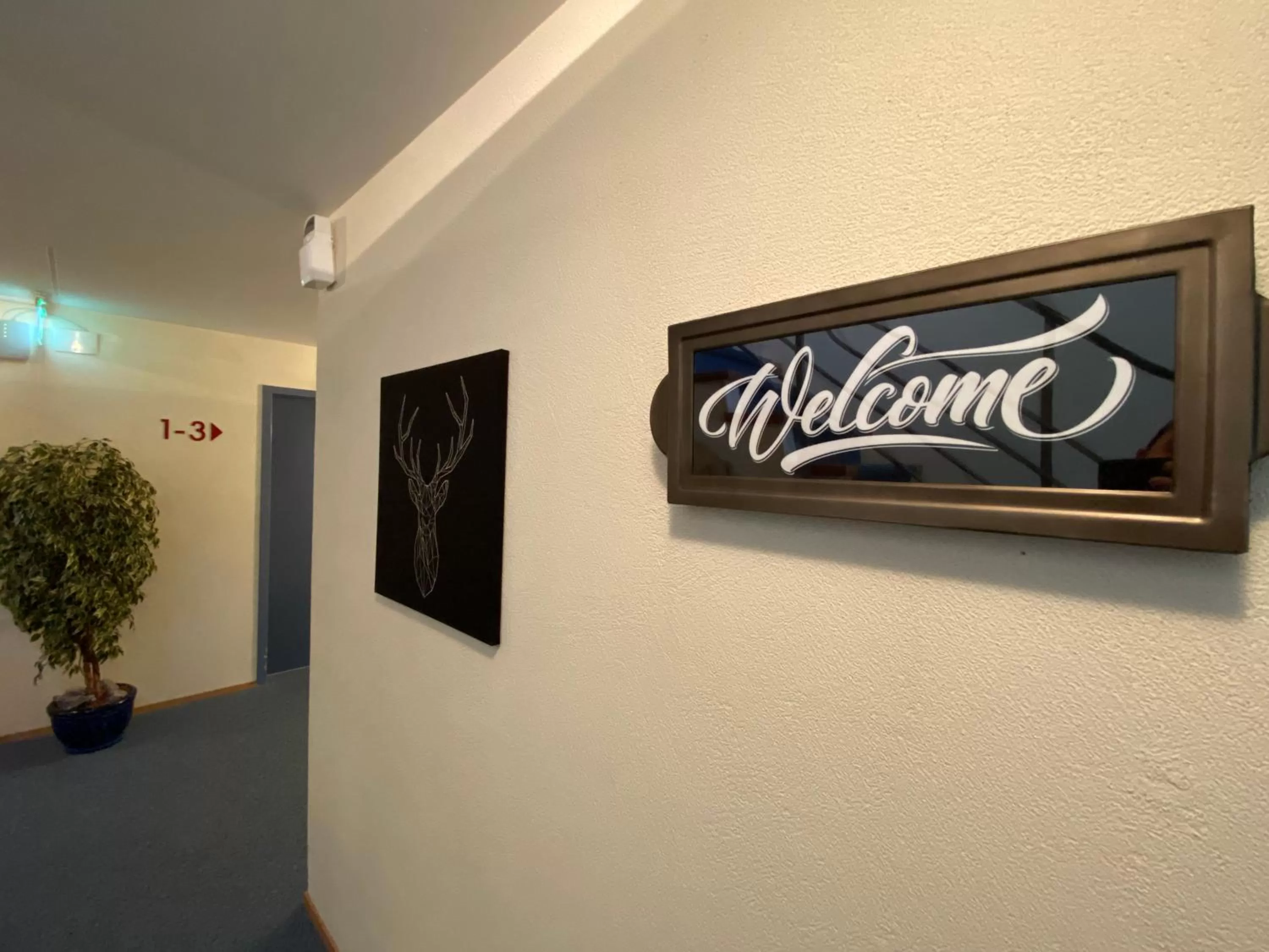 Hotel Hirschen Hinwil