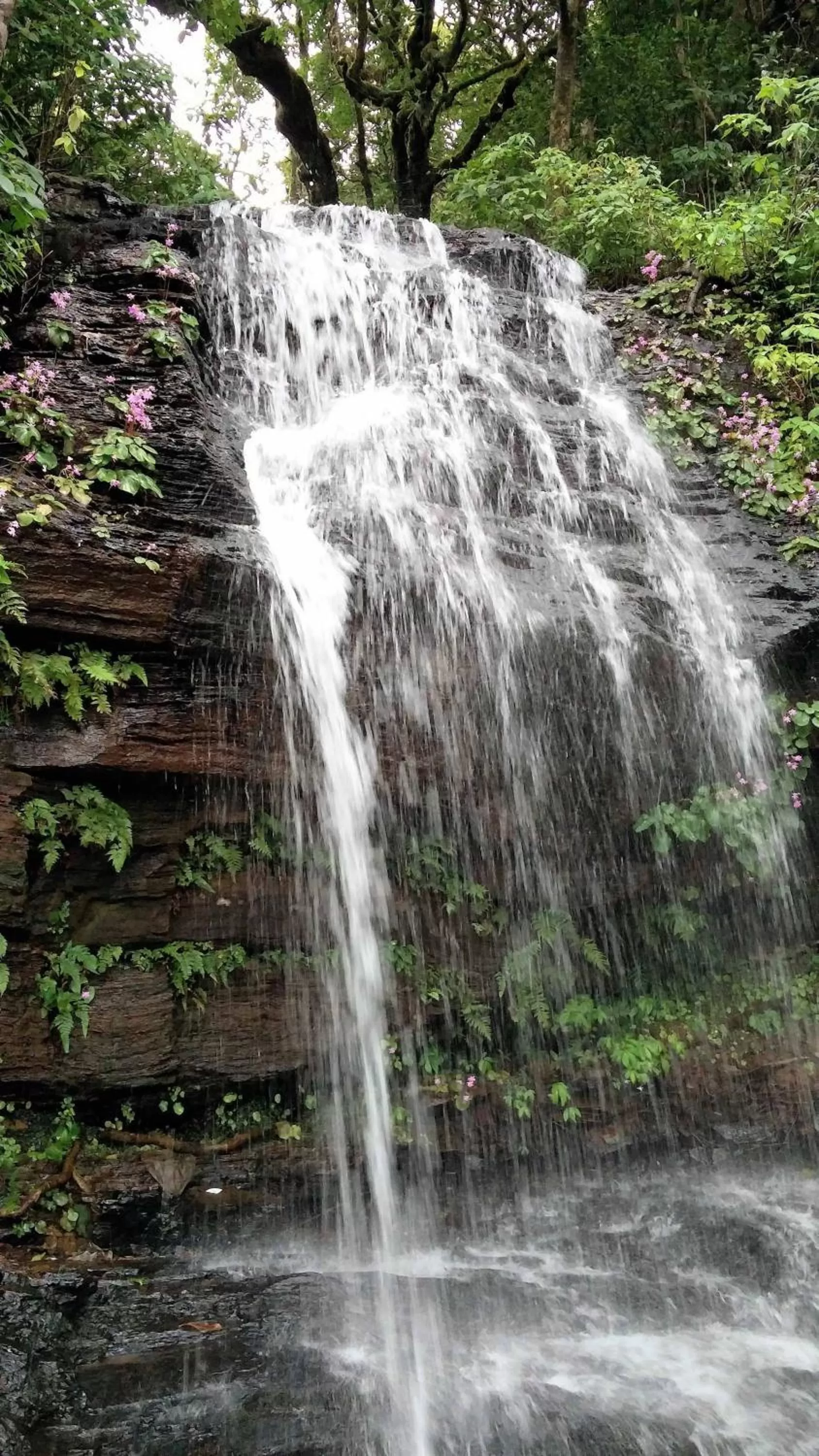 Off site in Greenwood Resort